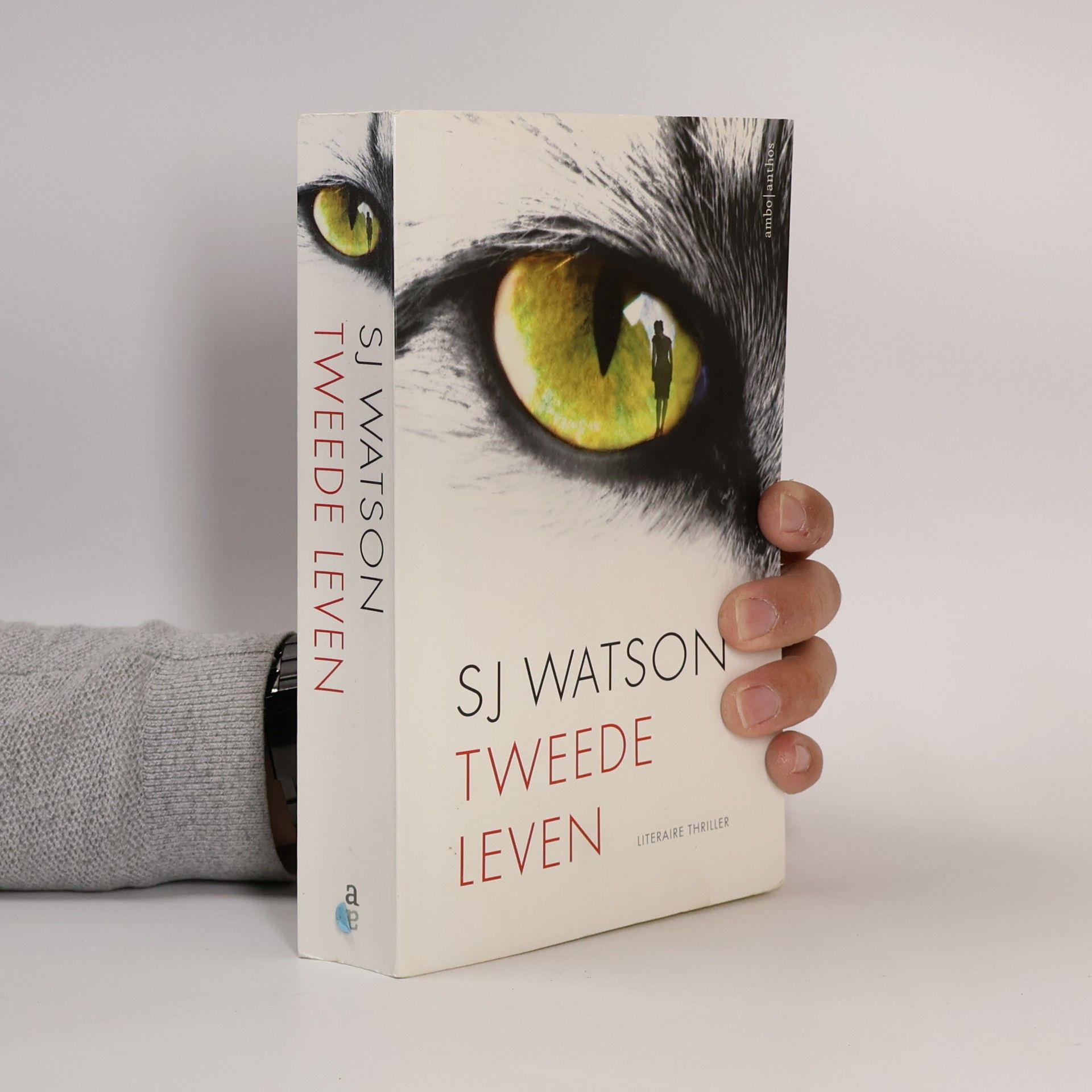 Ernst de Boer Tweede leven