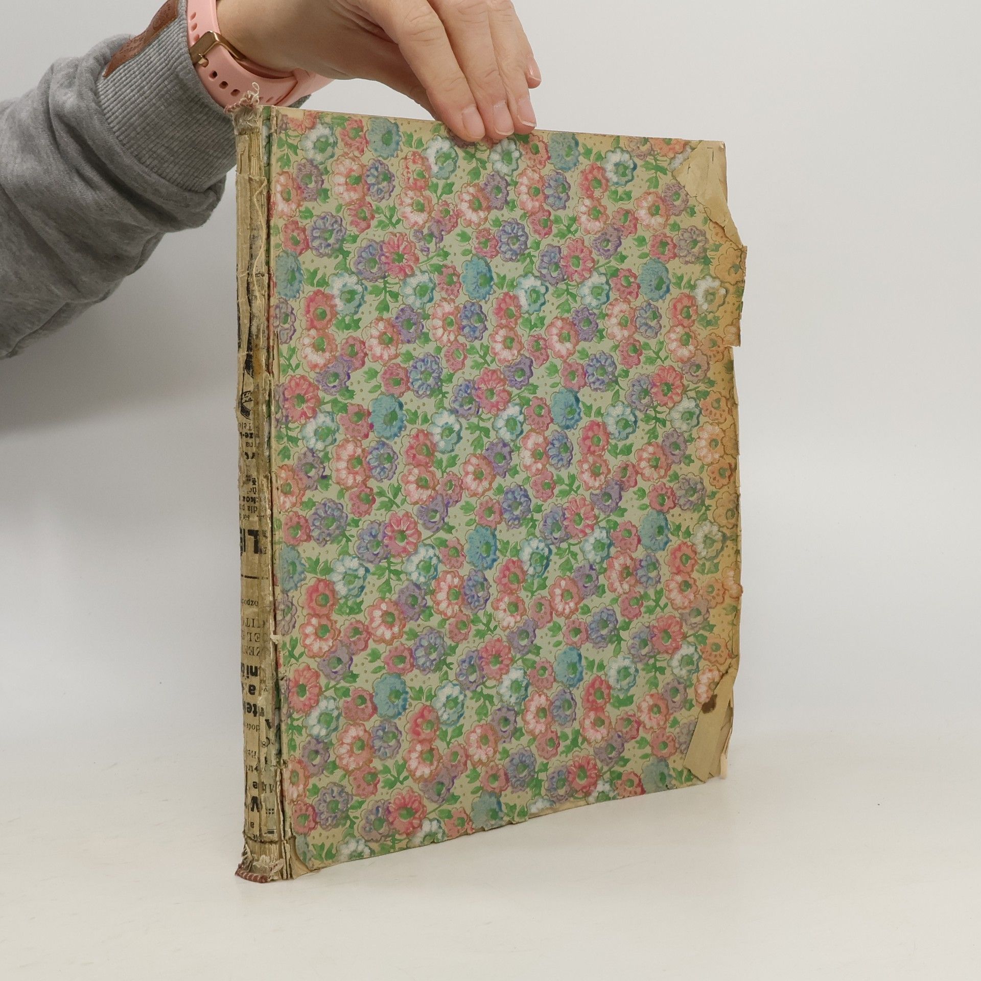 AA.VV. Fliegende Blätter. Band III.