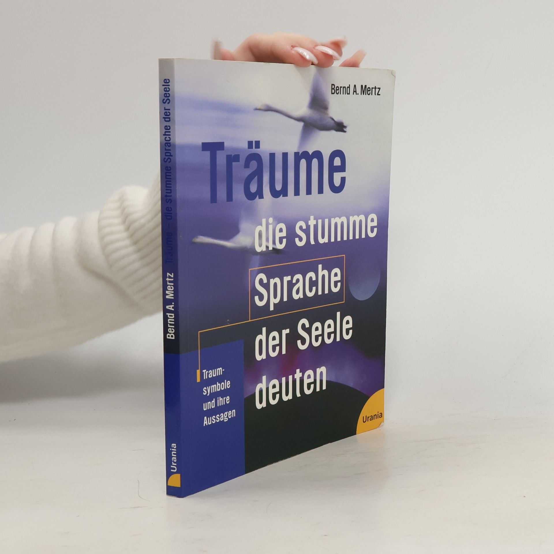 Bernd A. Mertz Träume