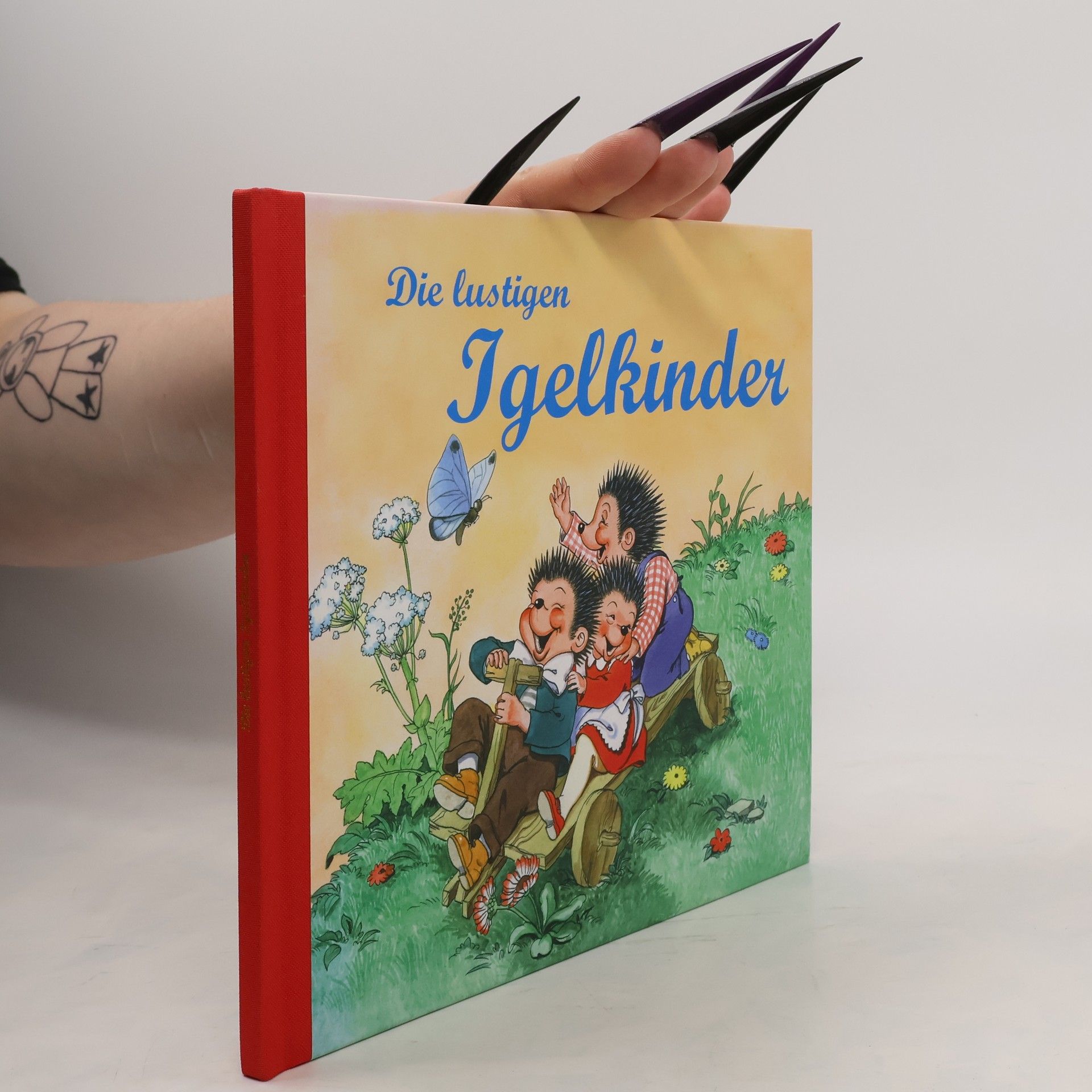 Collectif d'auteurs Die lustigen Igelkinder