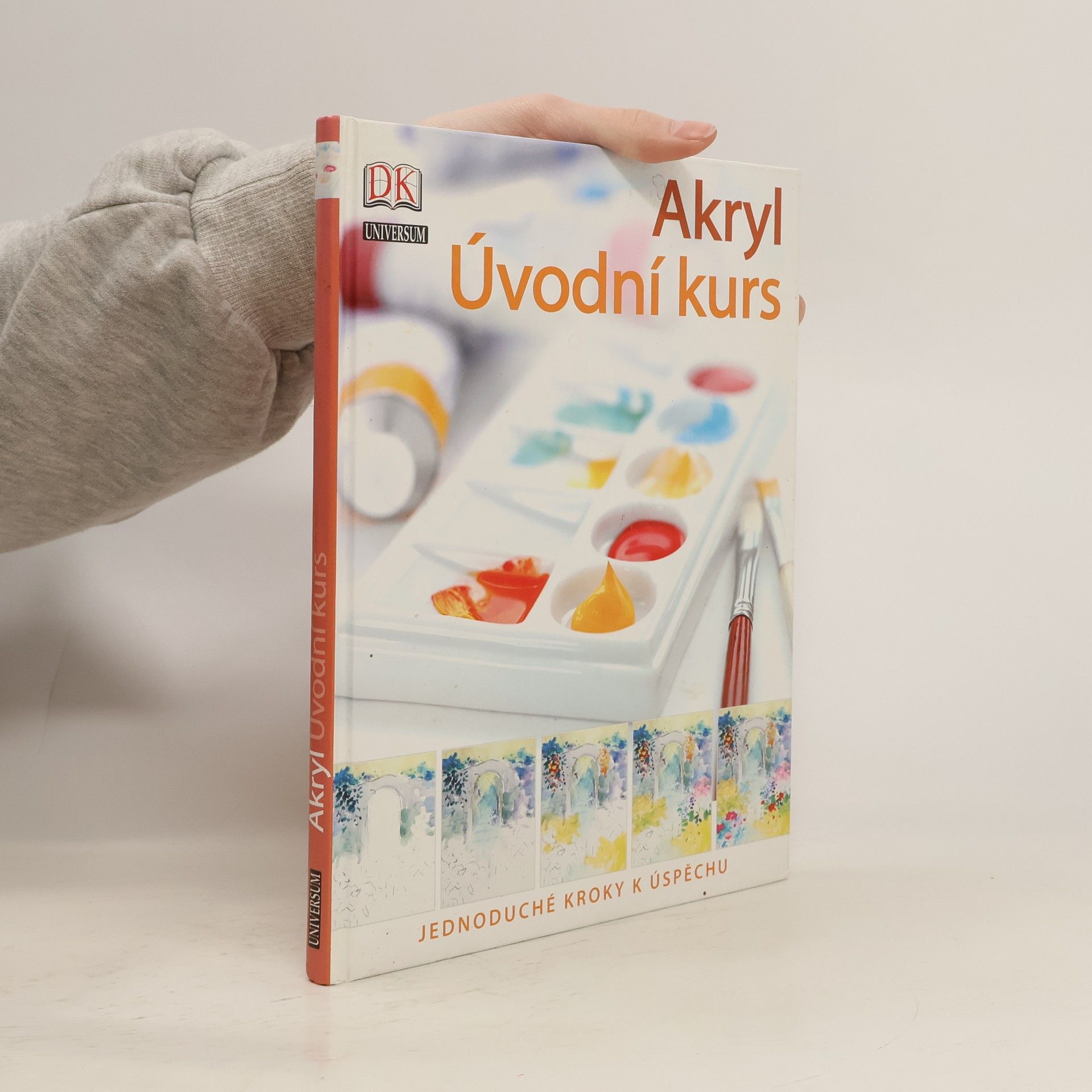 Phyllis McDowell Akryl : úvodní kurs