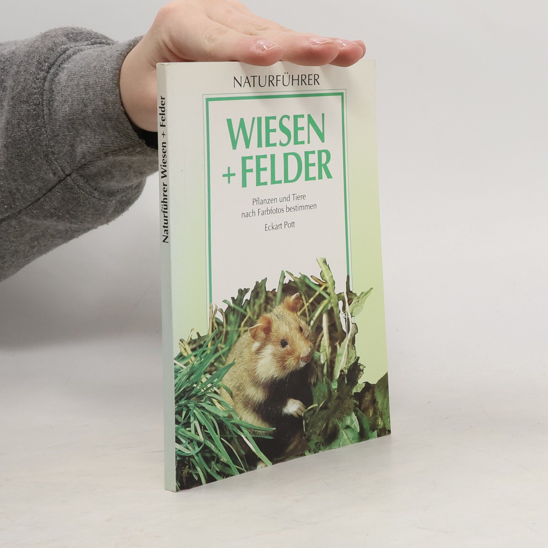 Eckart Pott Wiesen und Felder