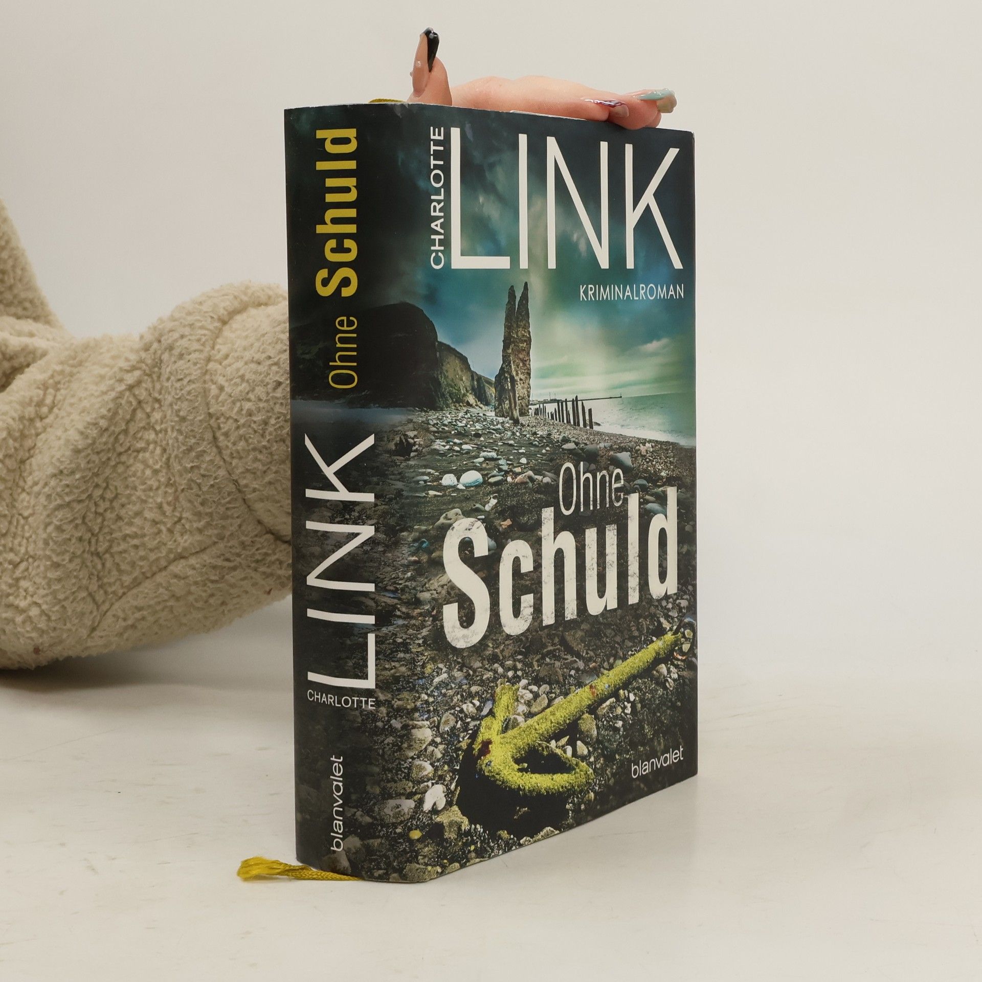 Charlotte Link Ohne Schuld