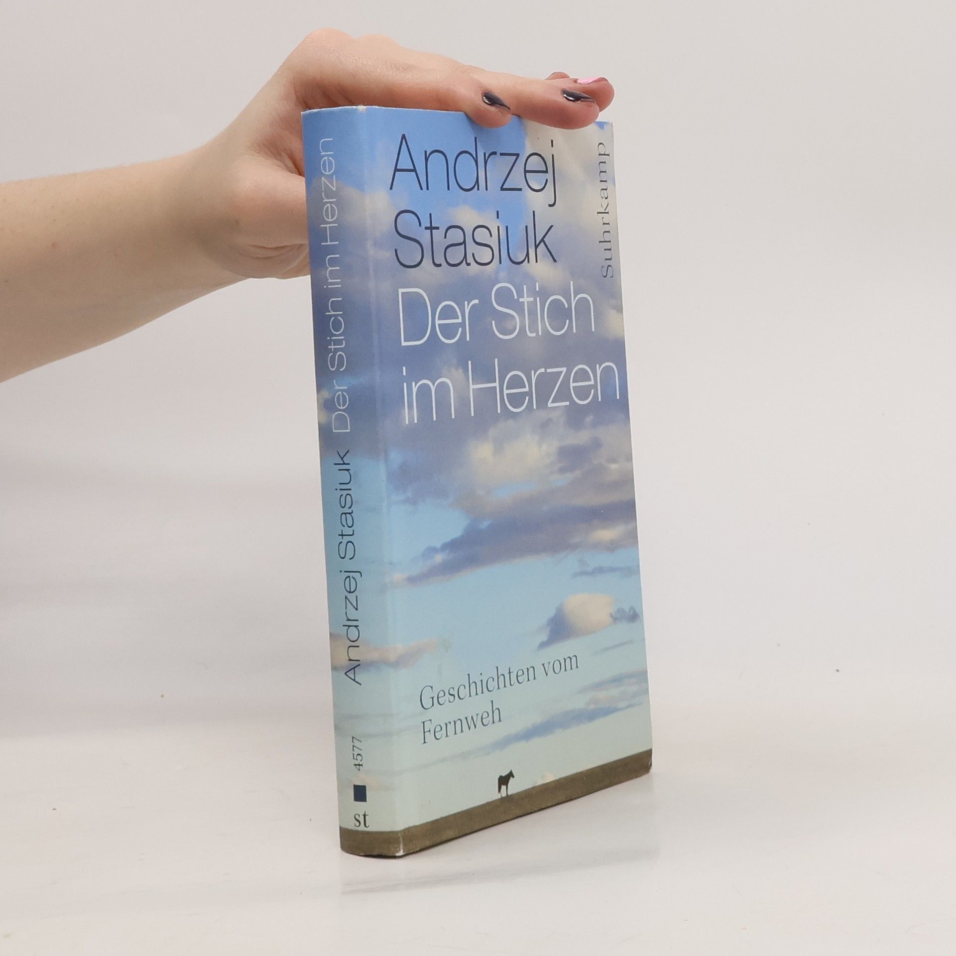 Andrzej Stasiuk Der Stich im Herzen