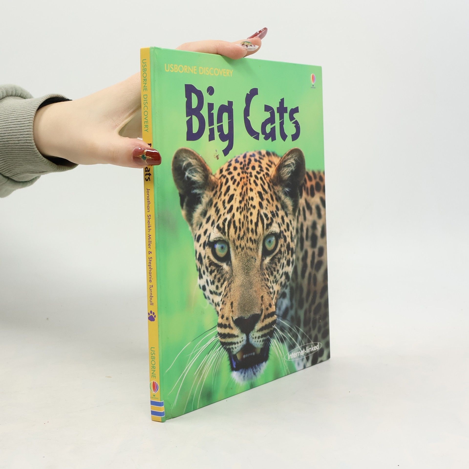 Stephanie Turnbull Big Cats