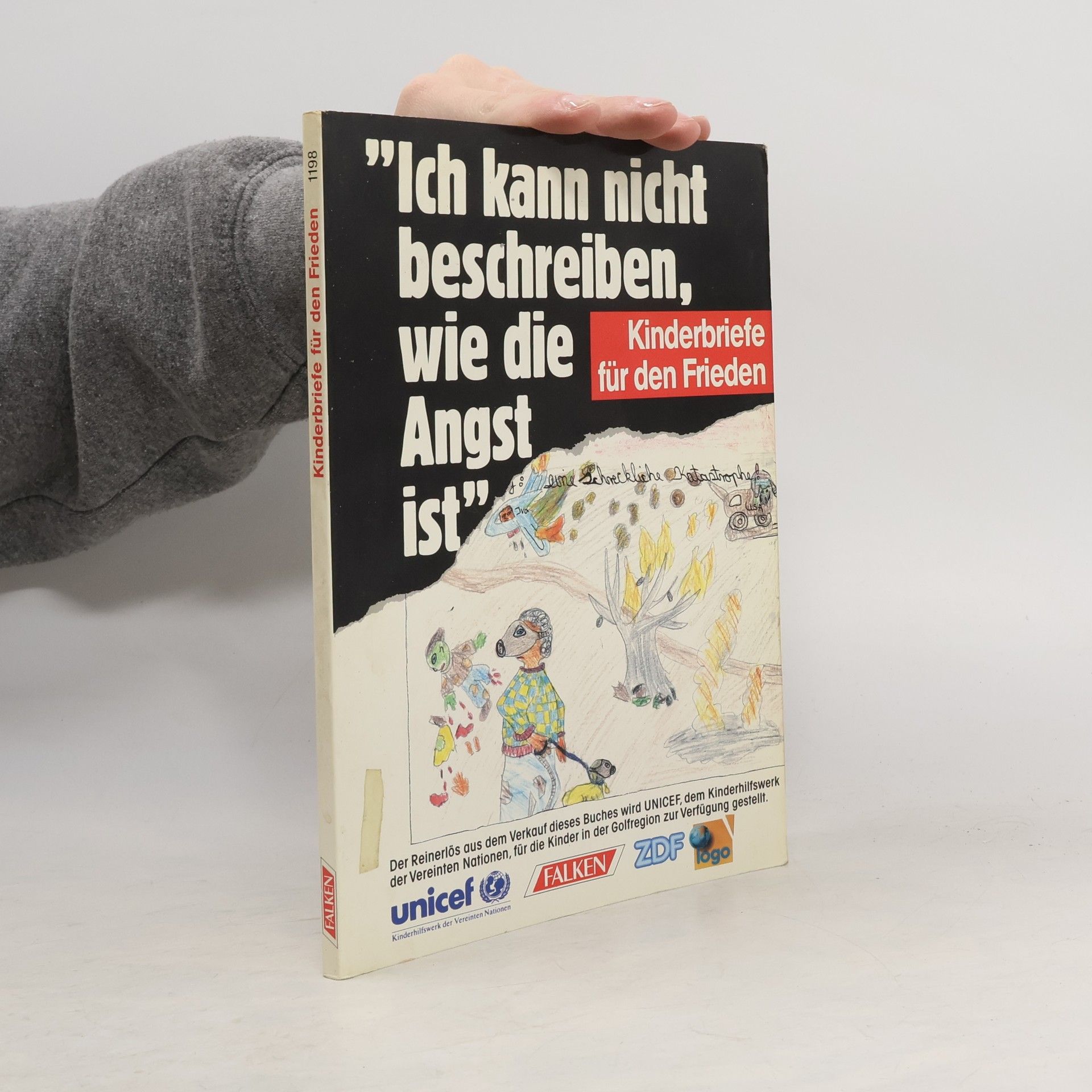 Collectif d'auteurs "Ich kann nicht beschreiben, wie die Angst ist"