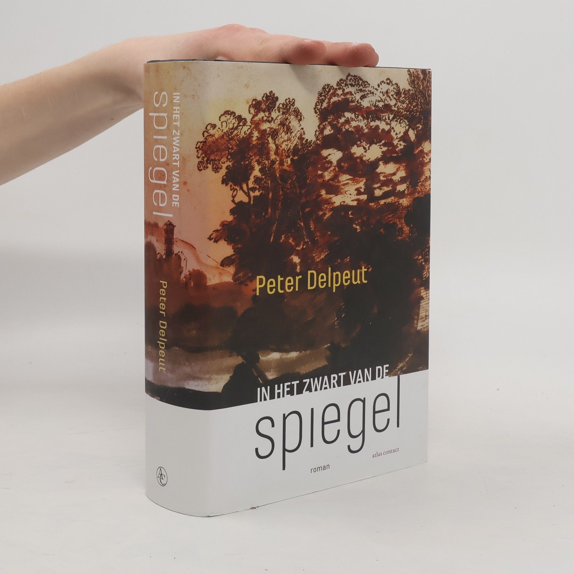Peter Delpeut In het zwart van de spiegel