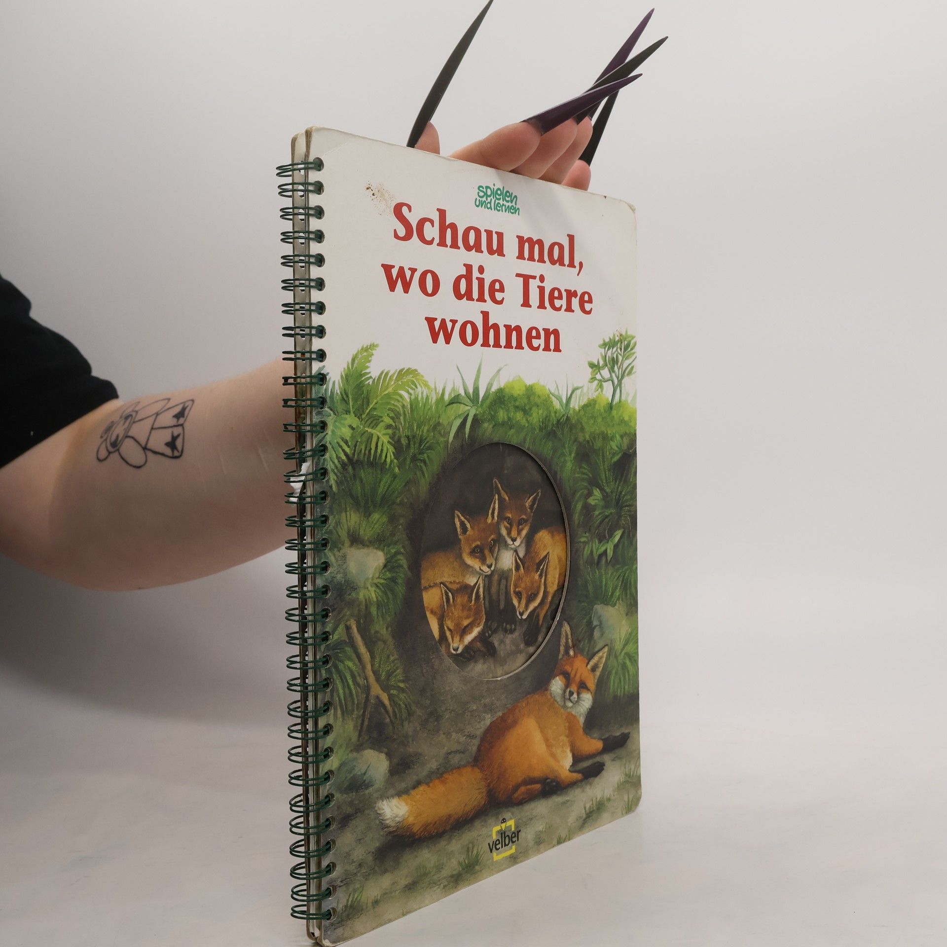 Autorenkollektiv Schau mal, wo die Tiere wohnen