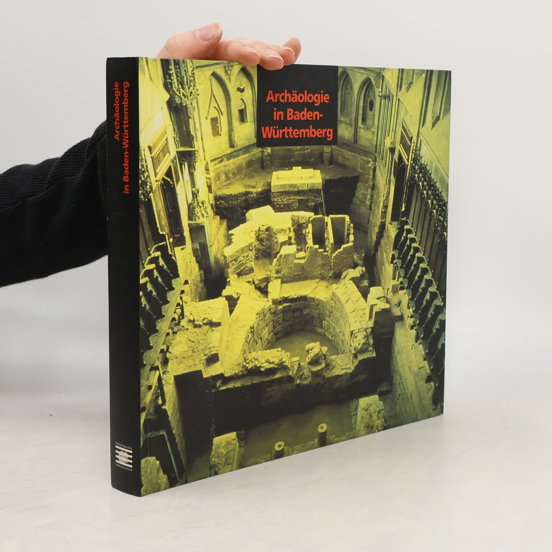 Dieter Planck Archäologie in Baden-Württemberg