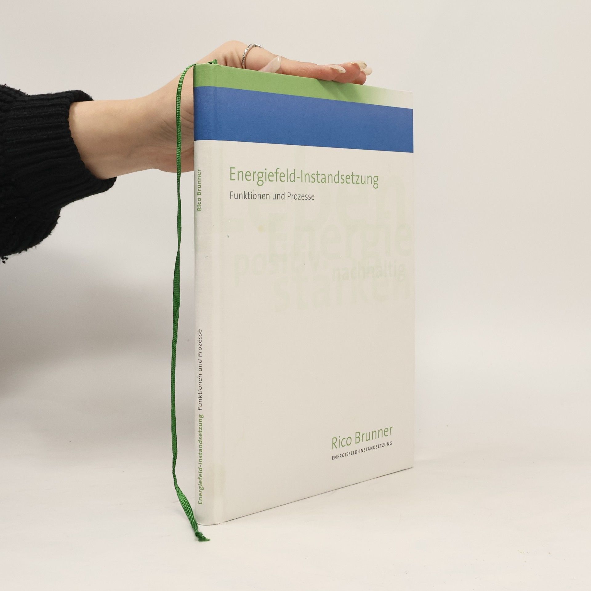 Rico Brunner Energiefeld-Instandsetzung