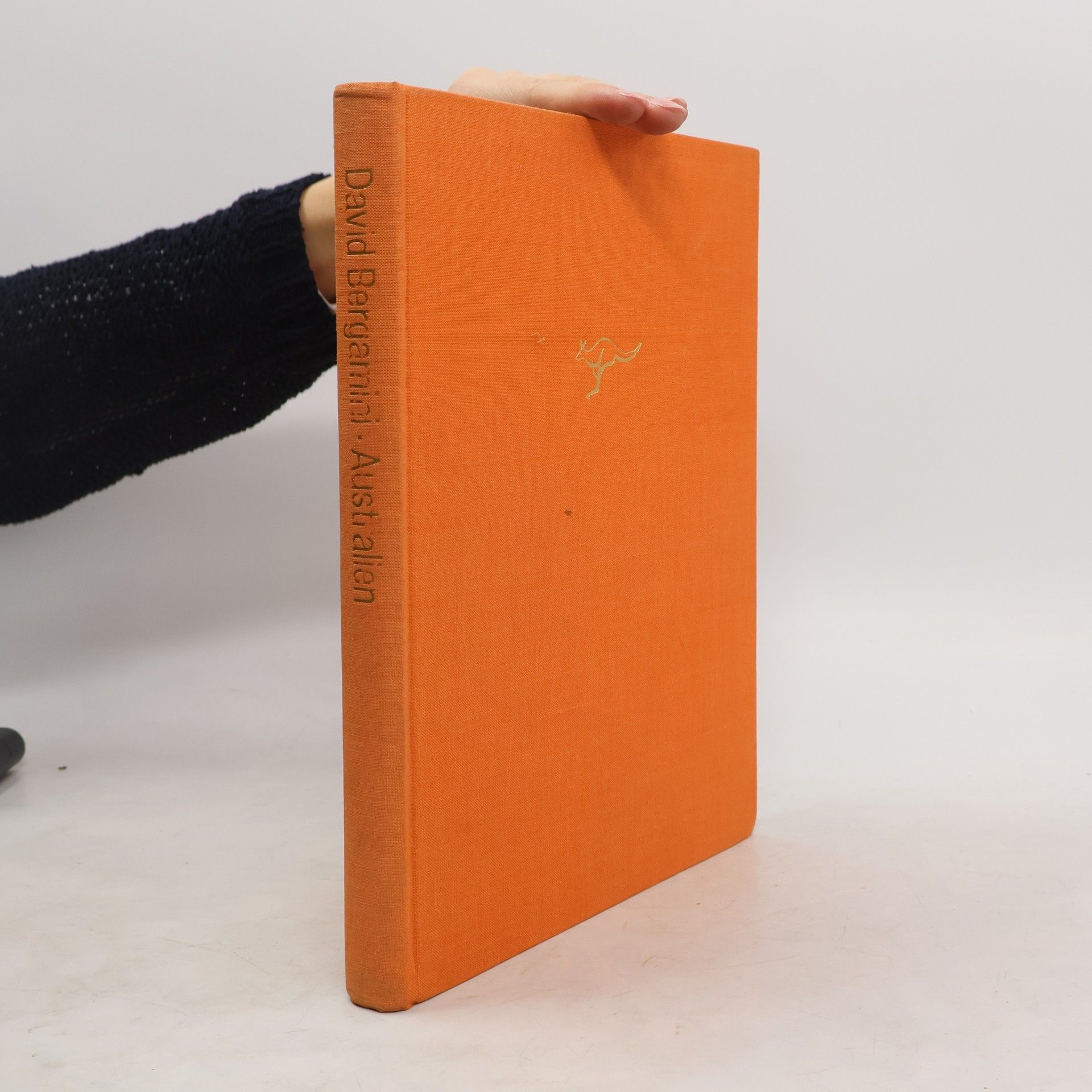 David Bergamini Australien