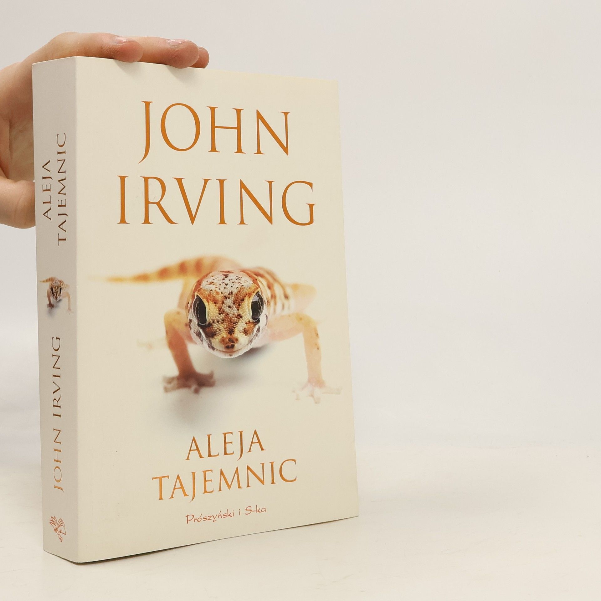 John Irving Aleja tajemnic