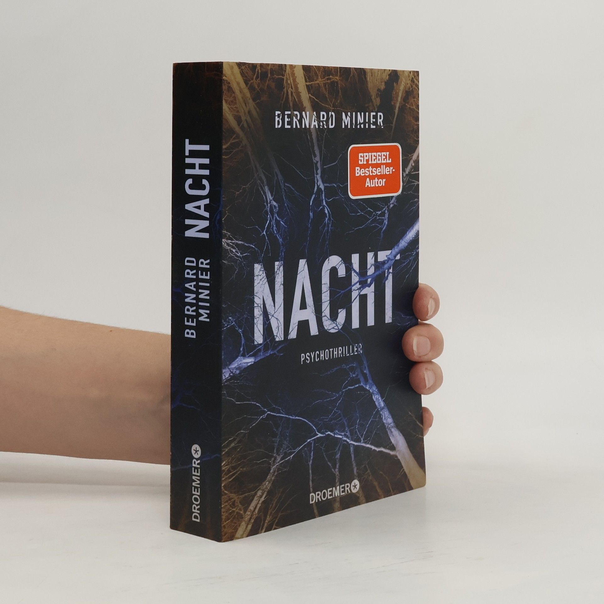 Bernard Minier Nacht