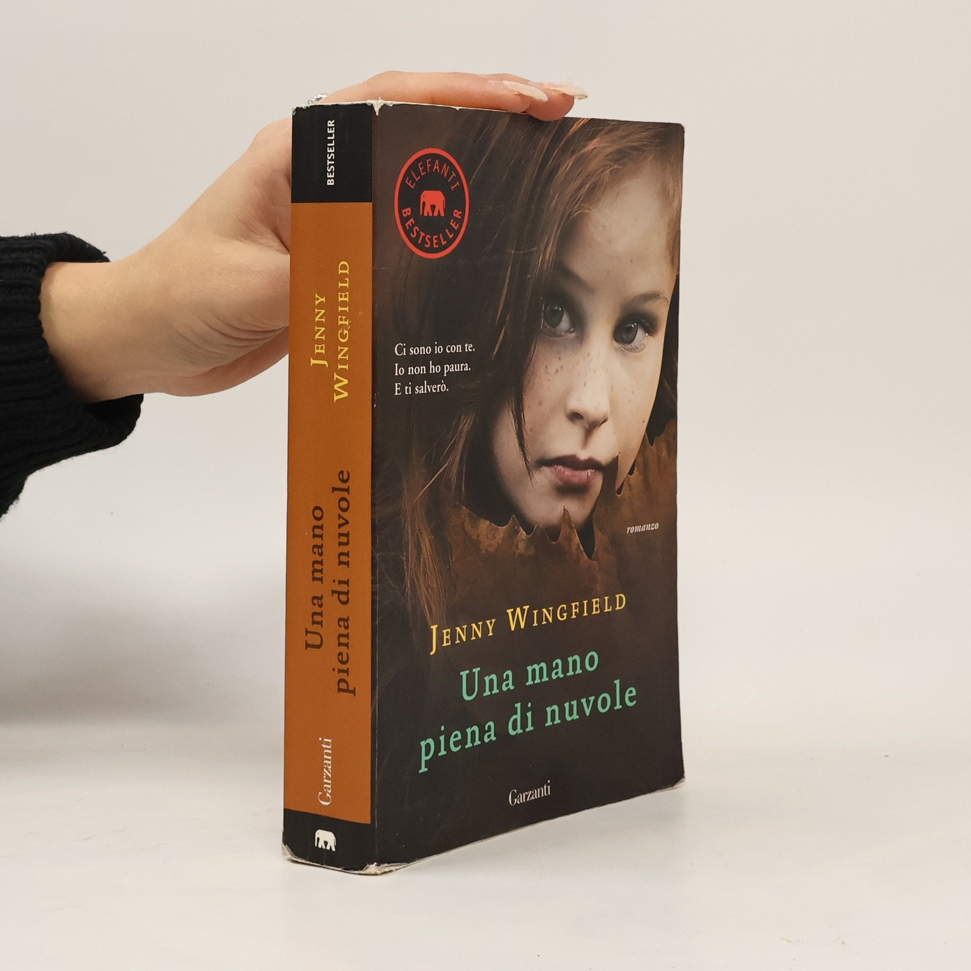 Elefanti Bestseller: Una mano piena di nuvole