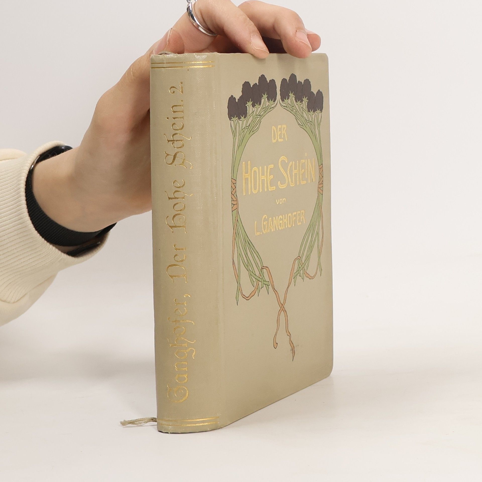 Ludwig Ganghofer Der Hohe Schein II