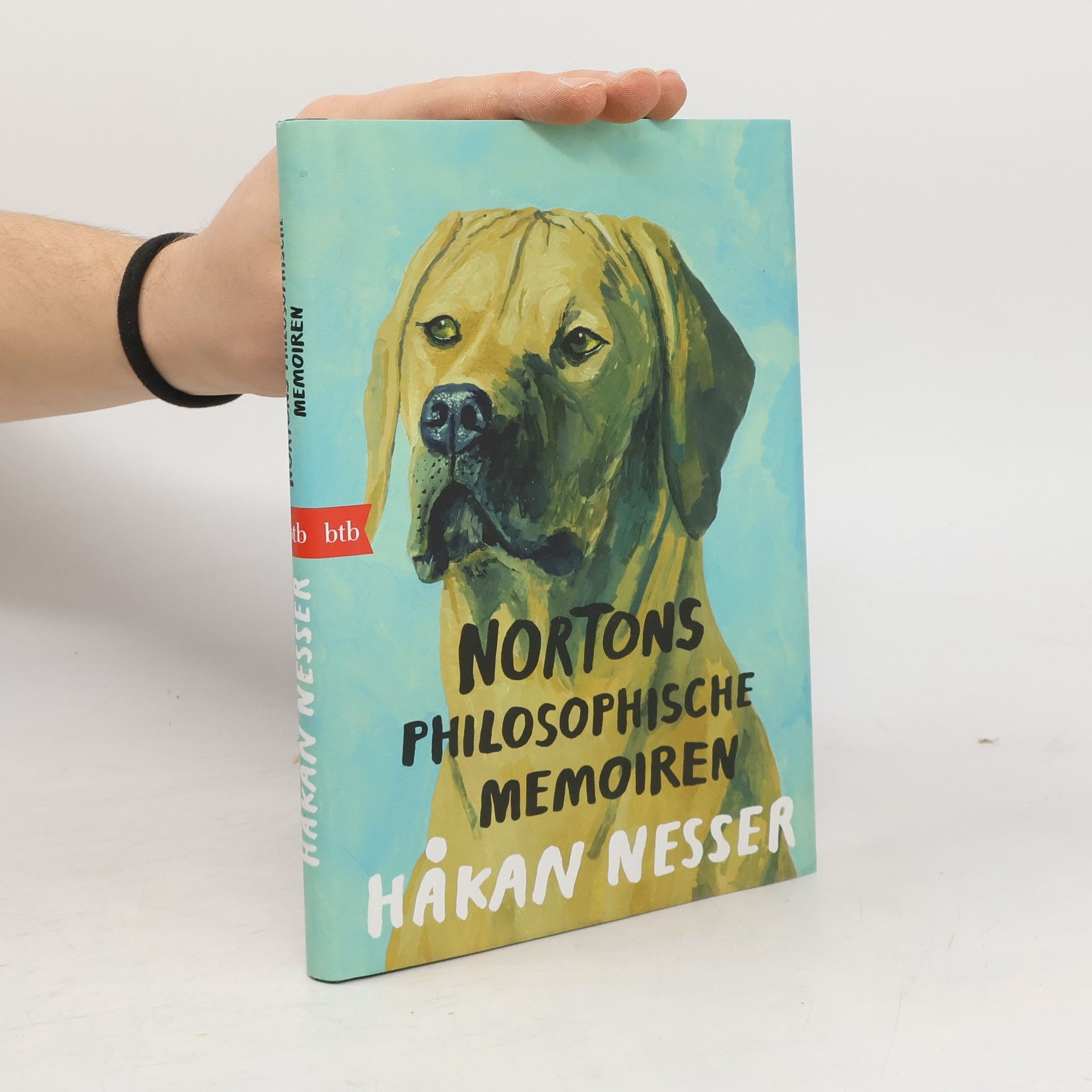 Norton Kierkegaard Nortons philosophische Memoiren