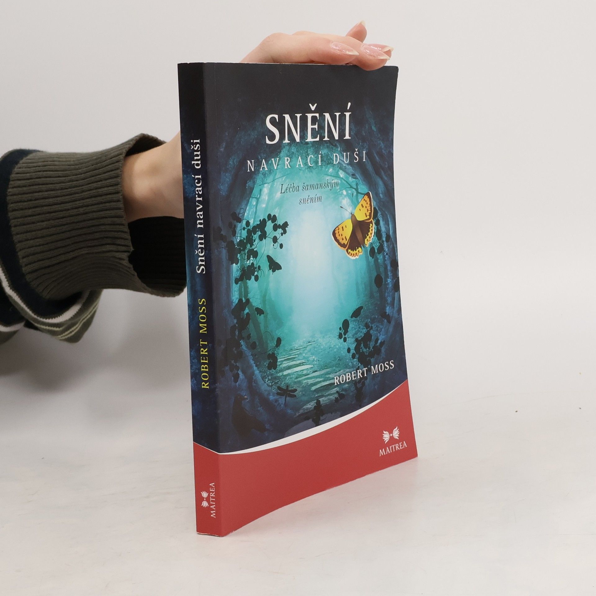 Robert Moss Snění navrací duši. Léčba šamanským sněním