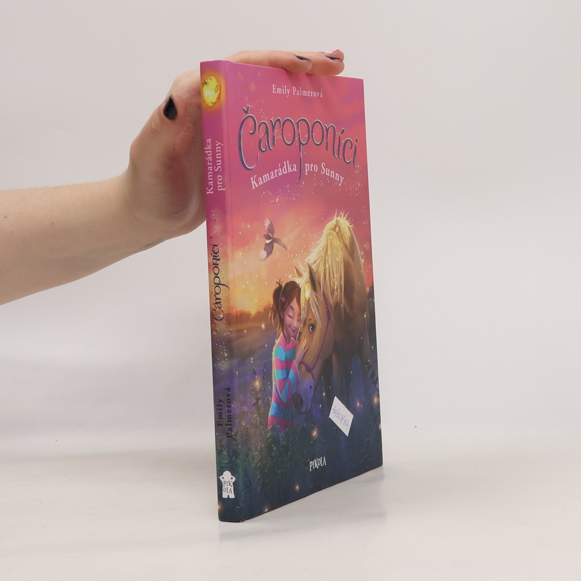 Čaroponíci. Kamarádka pro Sunny