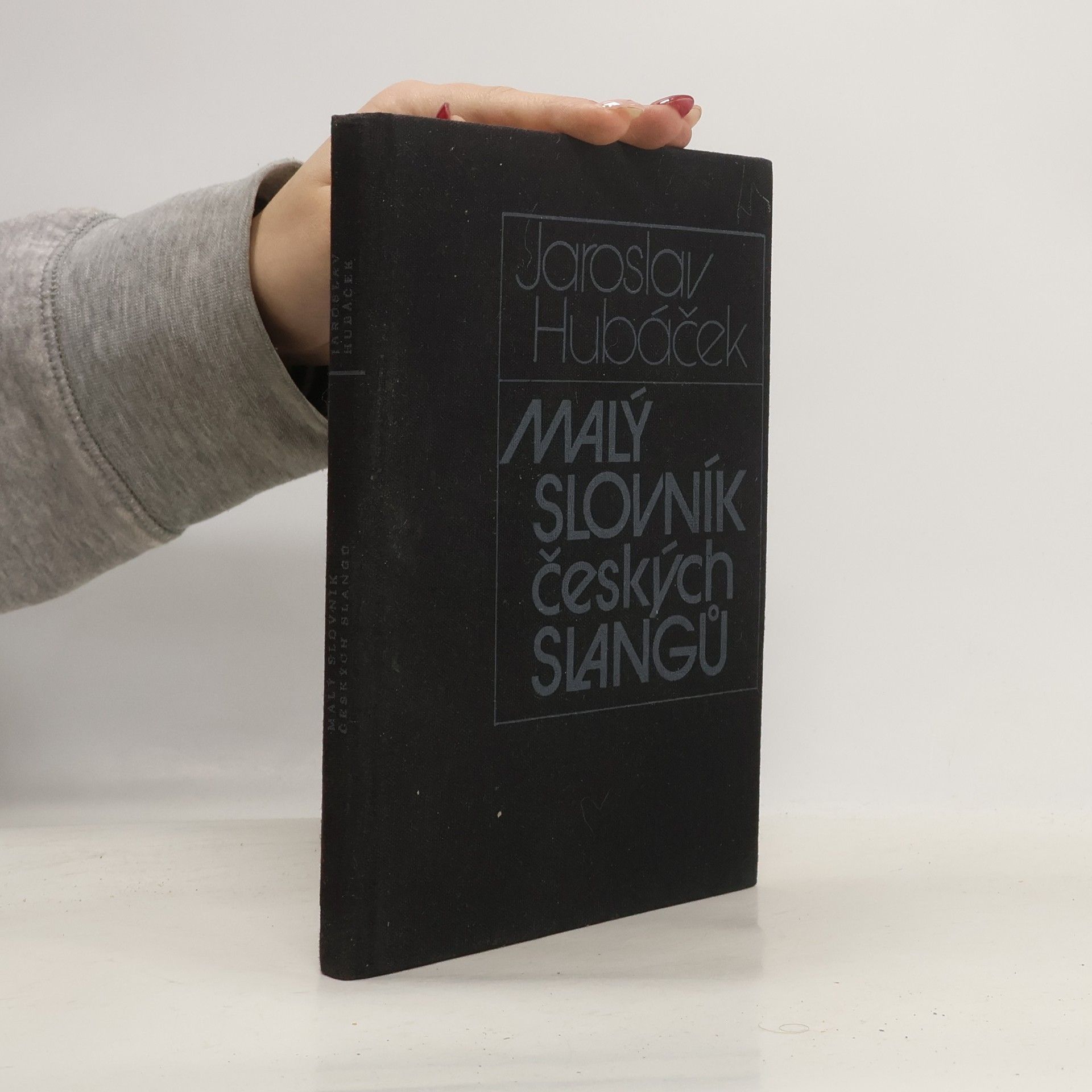 Malý slovník českých slangů