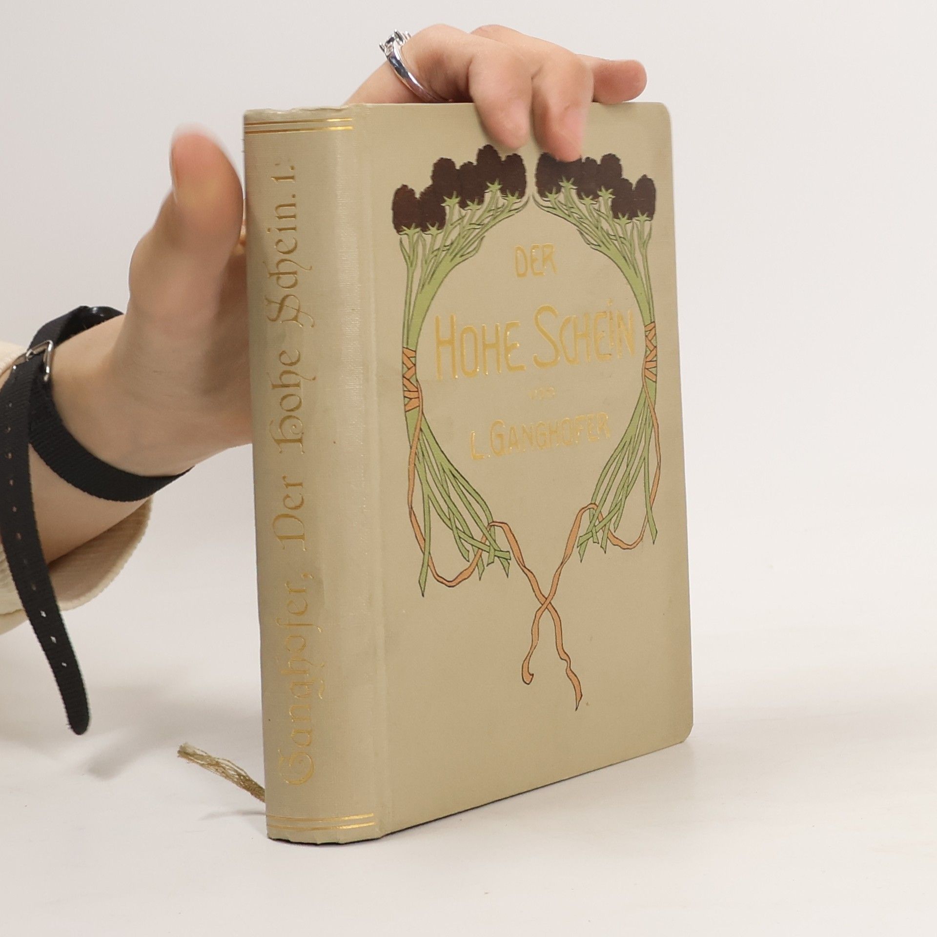 Ludwig Ganghofer Der Hohe Schein I