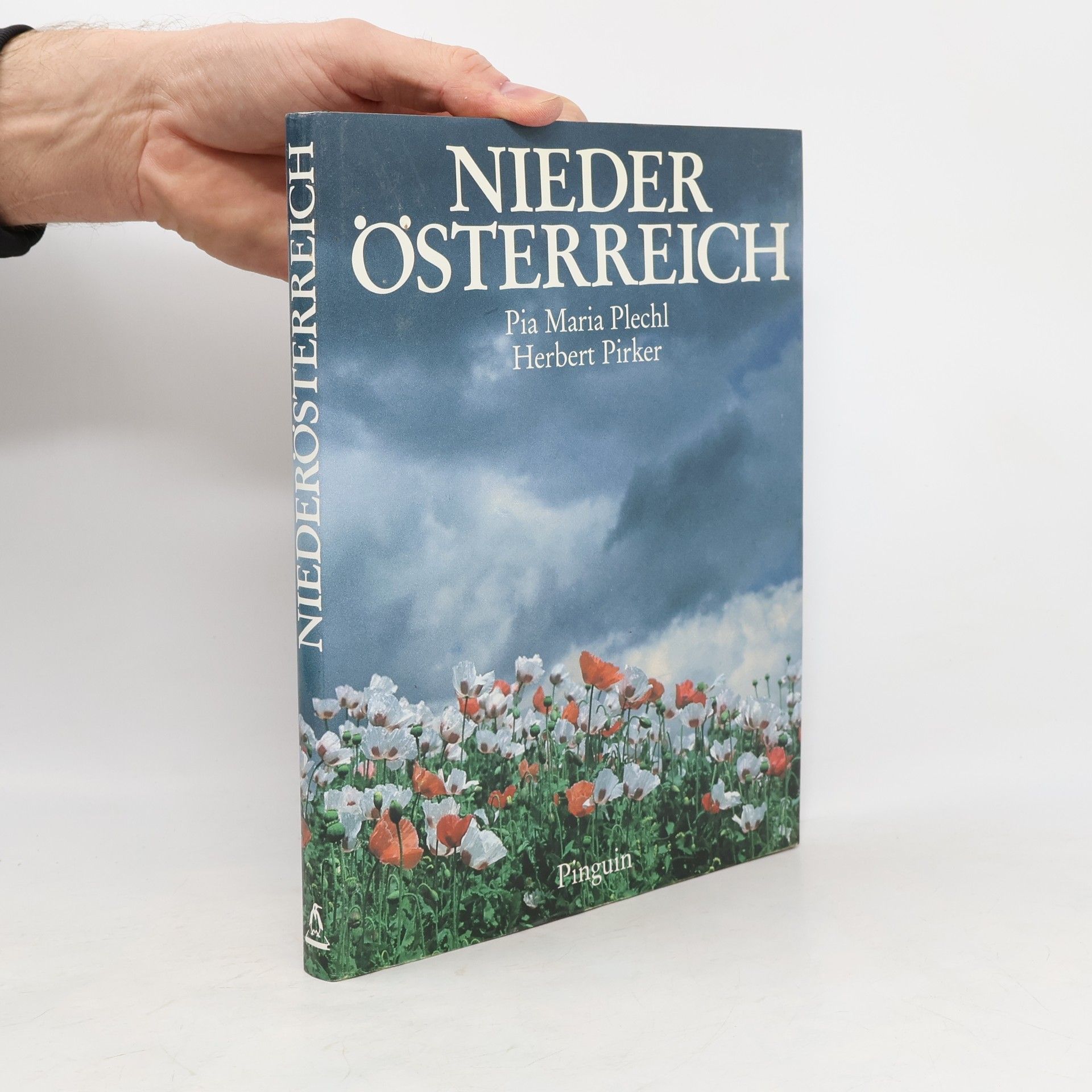 Pia Maria Plechl Niederösterreich