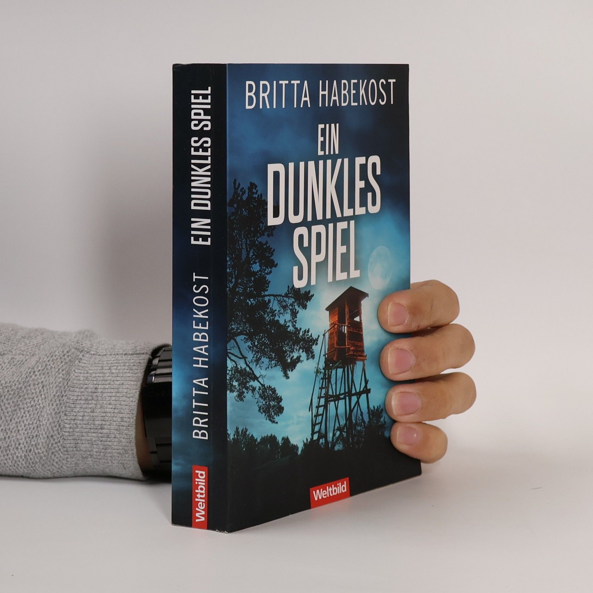 Britta Habekost Ein dunkles Spiel