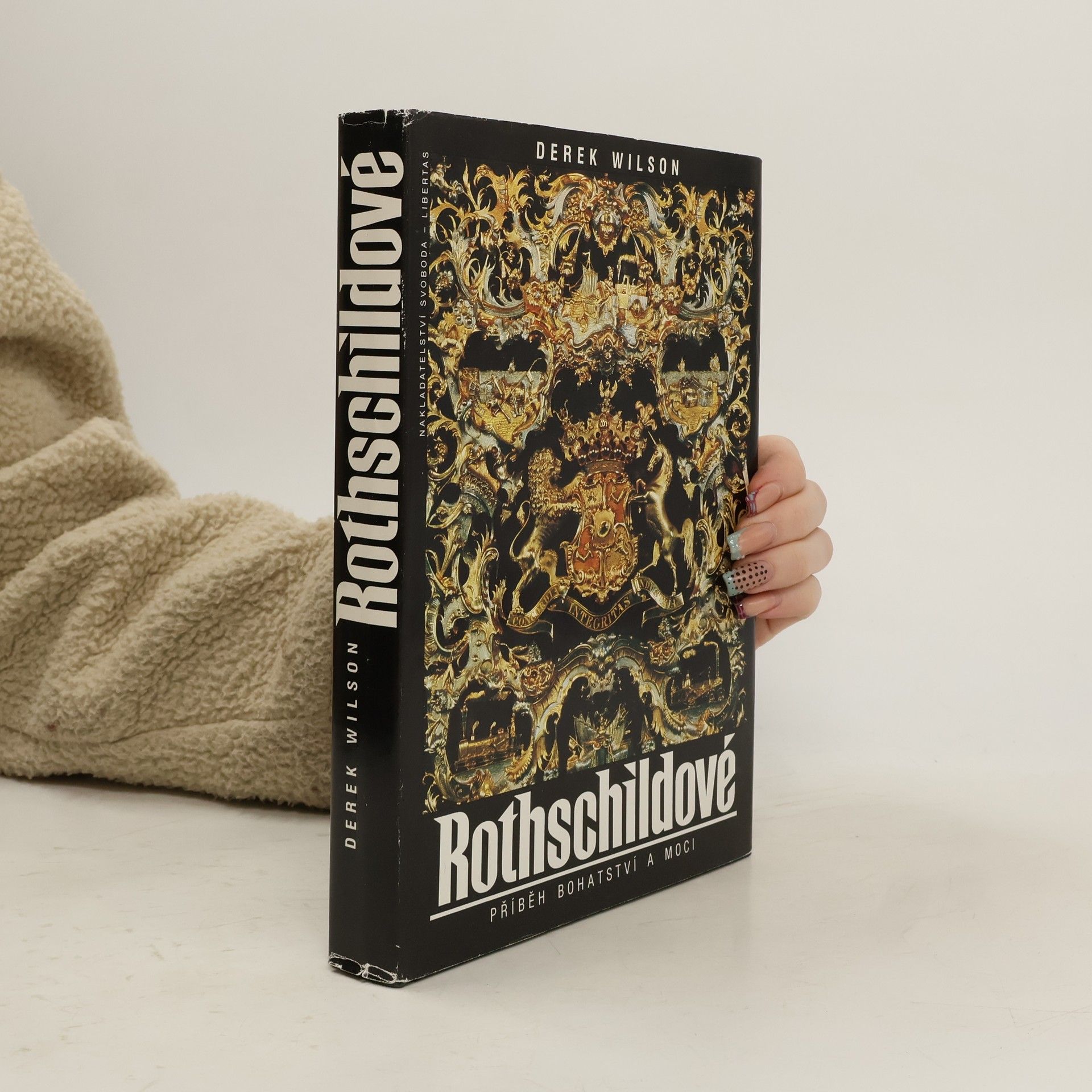 Derek A. Wilson Rothschildové. Příběh bohatství a moci