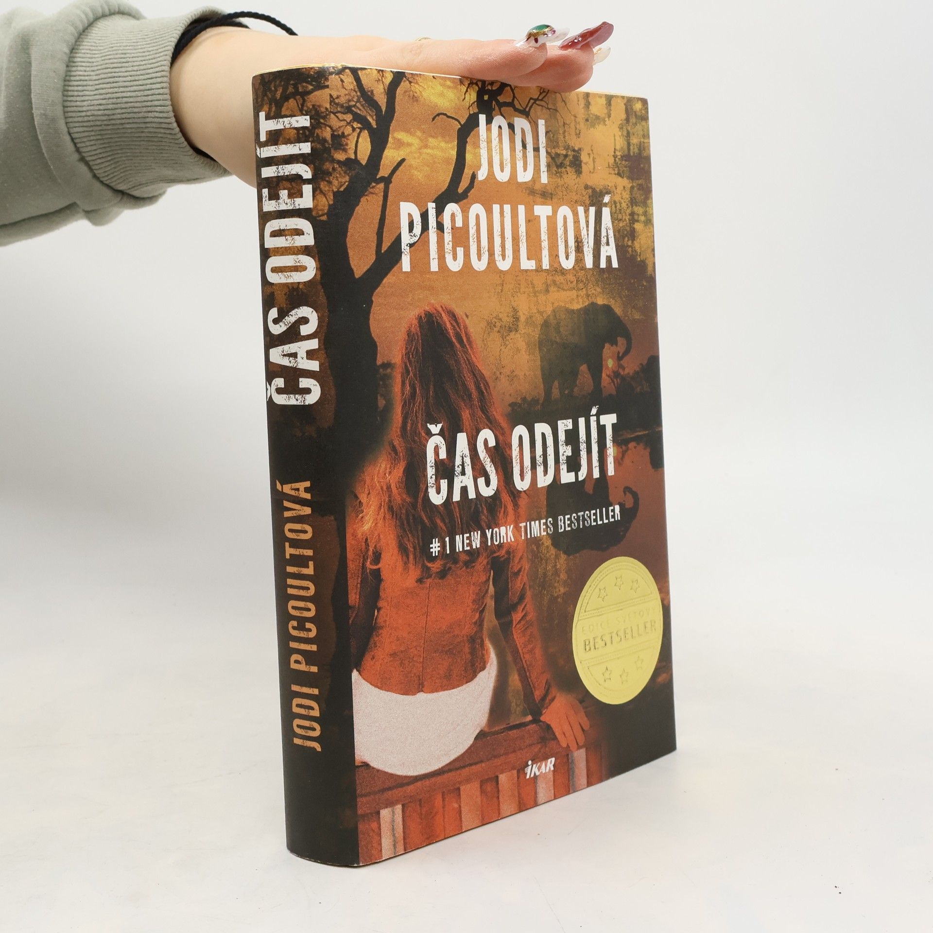 Jodi Picoult Čas odejít