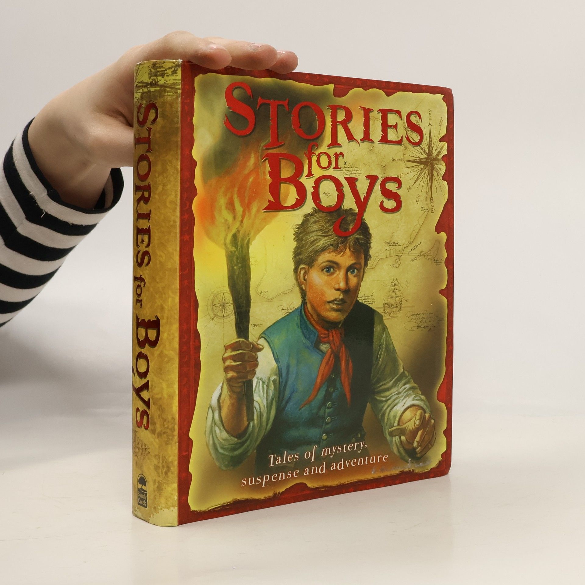 AA.VV. Stories for Boys