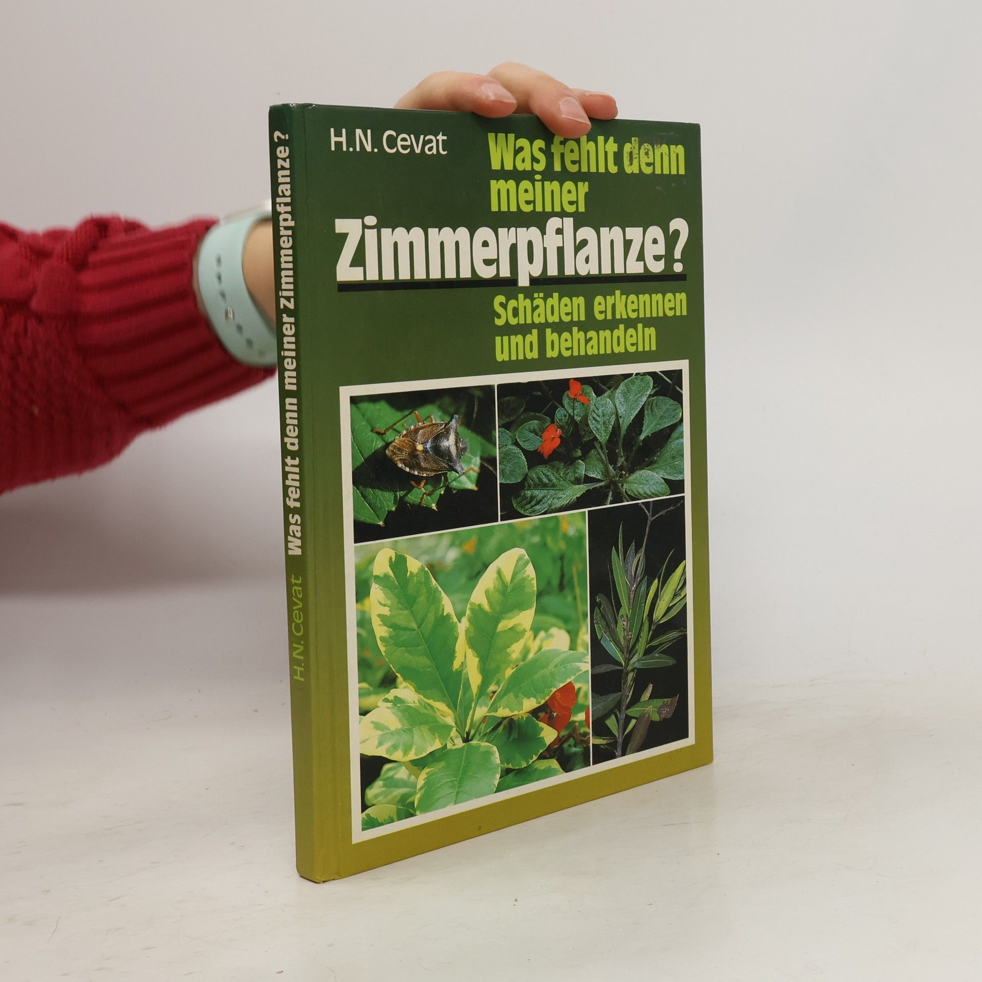 Hendrik Nicolaas Cevat Was fehlt denn meiner Zimmerpflanze?