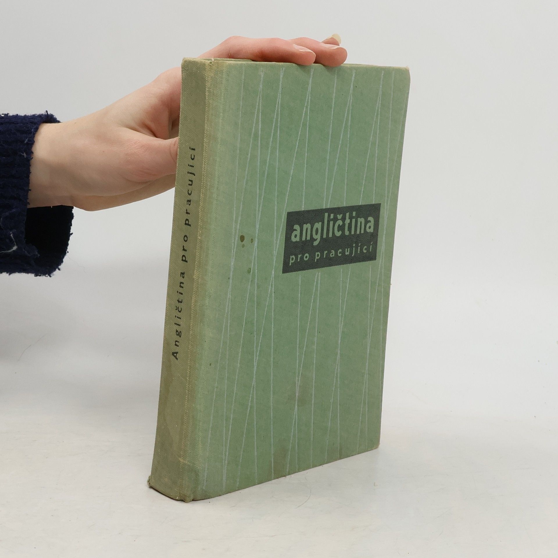 Angličtina pro pracující