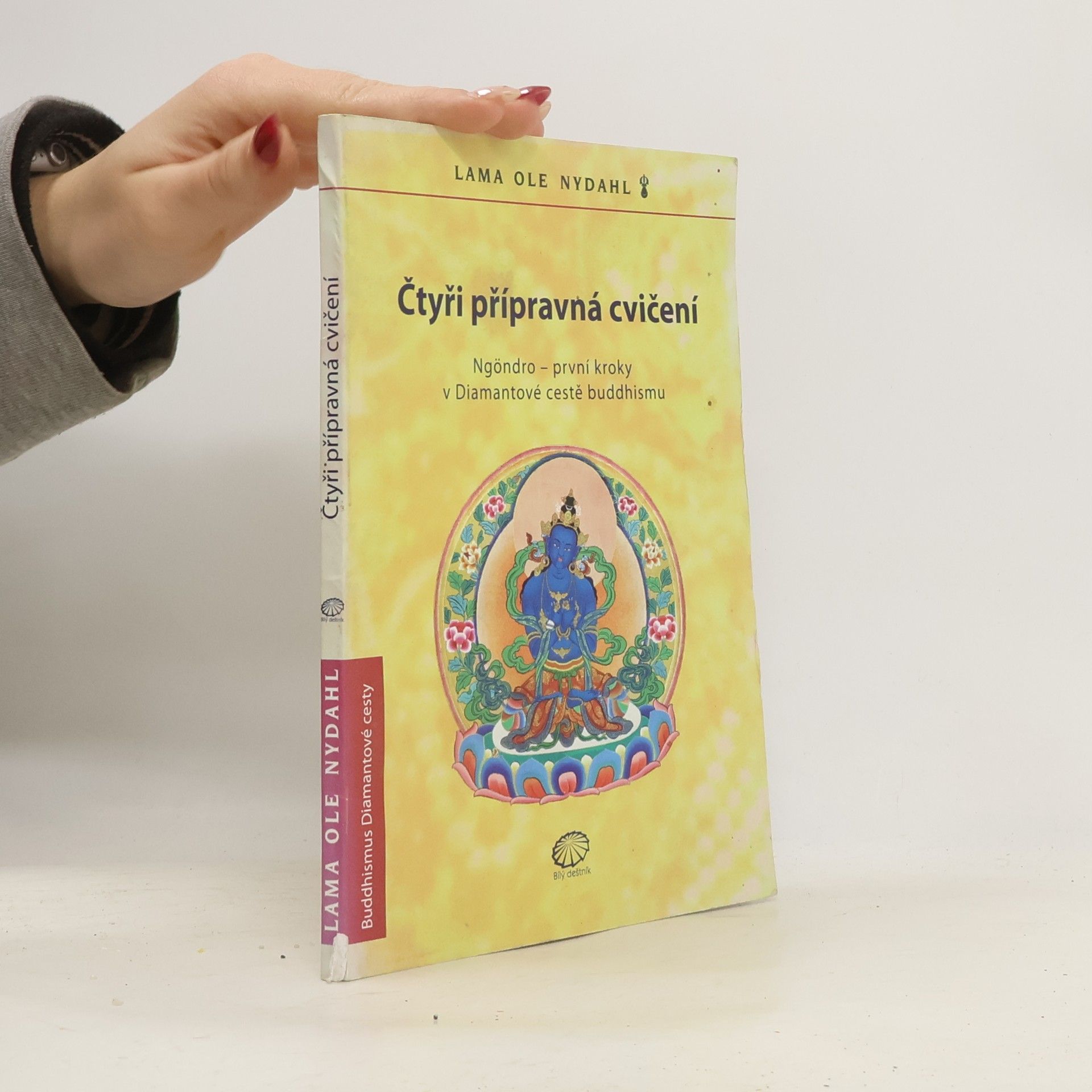 Ole Nydahl Čtyři přípravná cvičení