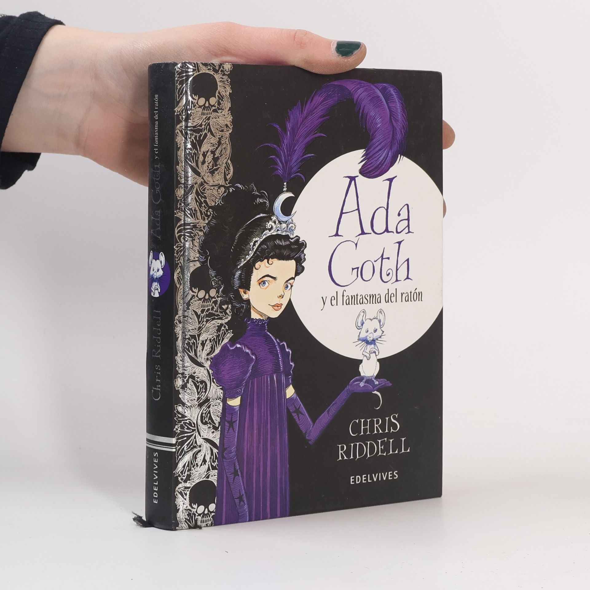 Chris Riddell Albumes Ilustrados: Ada Goth y el fantasma del ratón