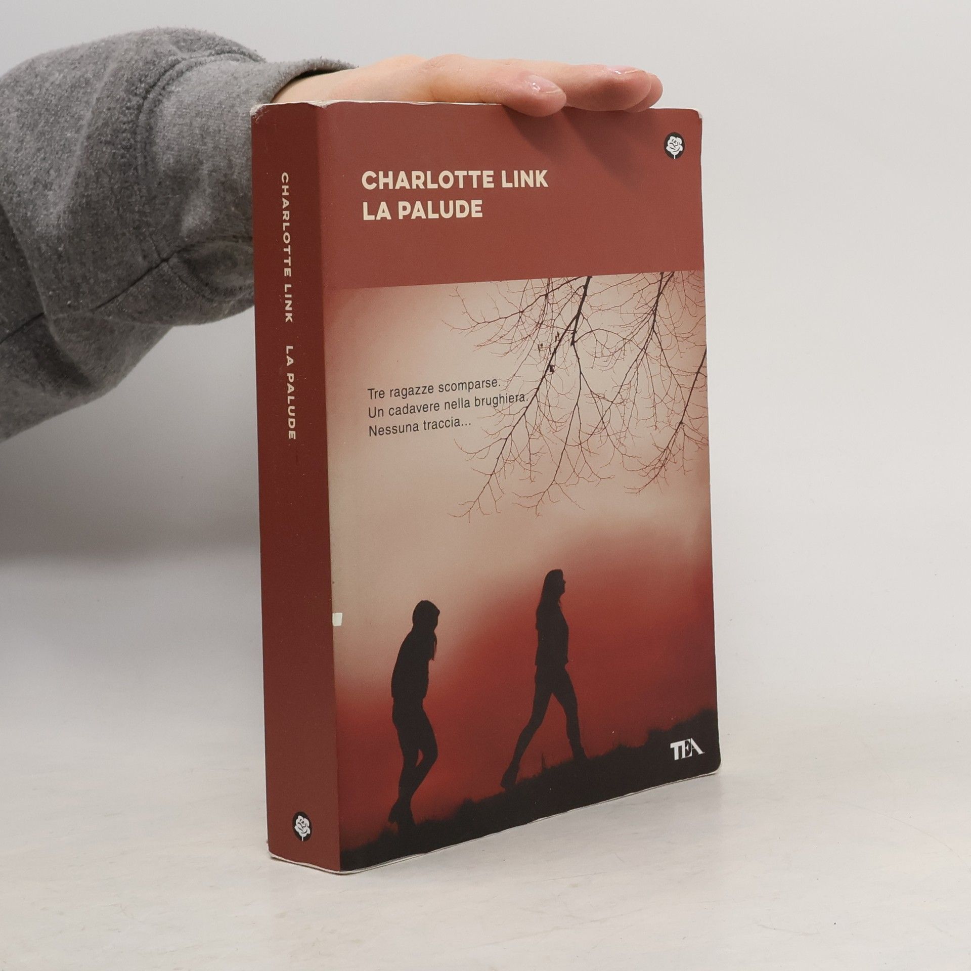 Charlotte Link La palude