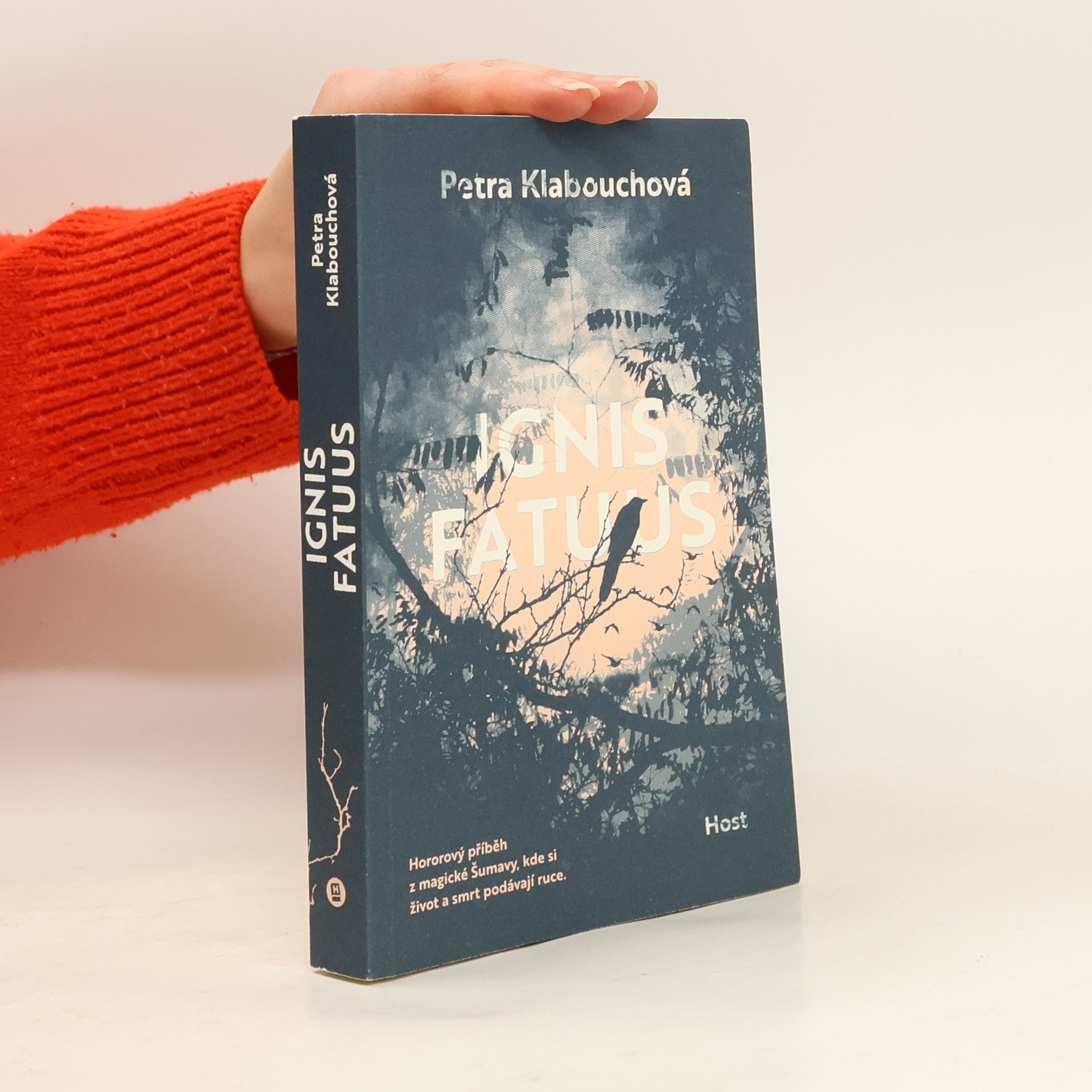 Petra Klabouchová Ignis fatuus