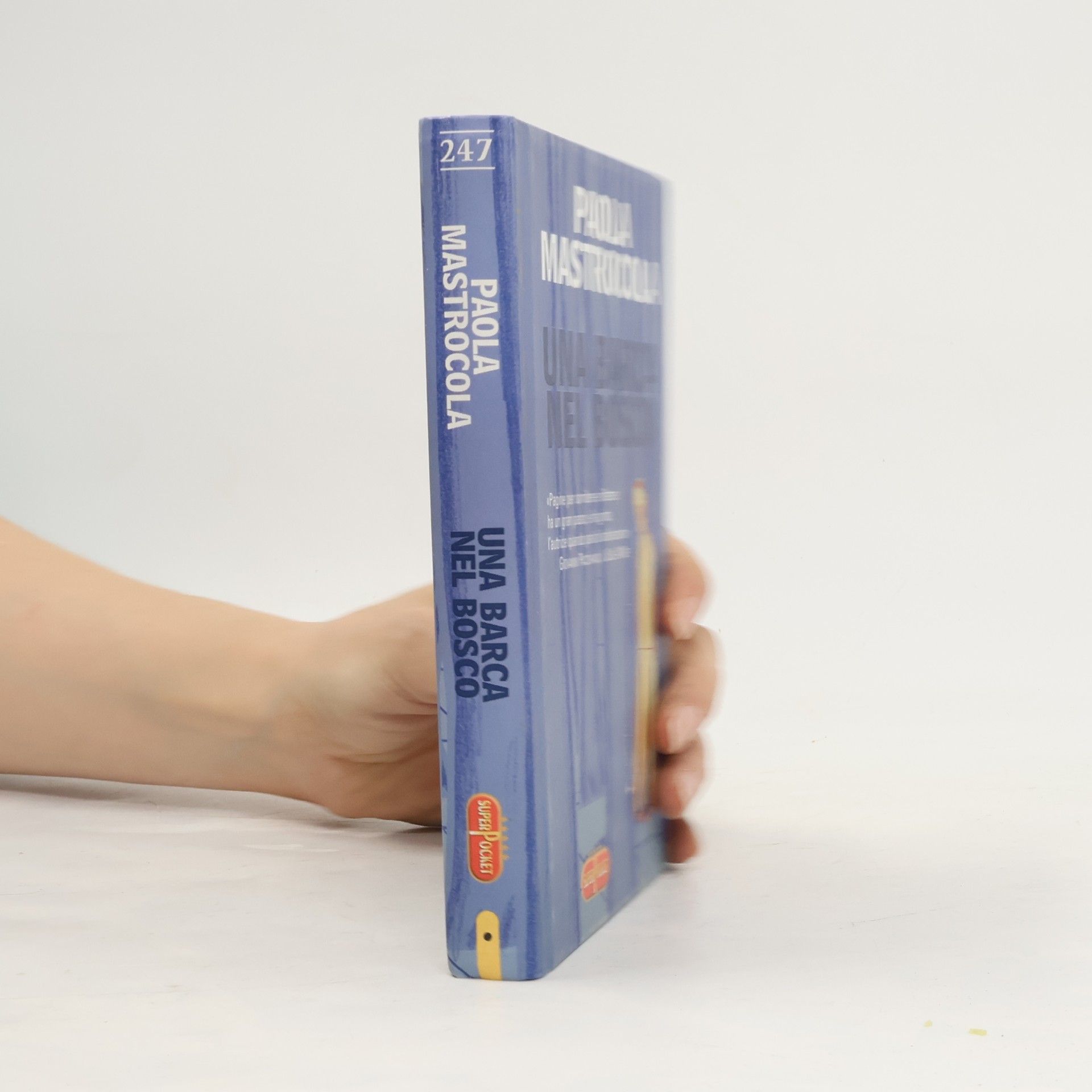 Paola Mastrocola Una barca nel bosco