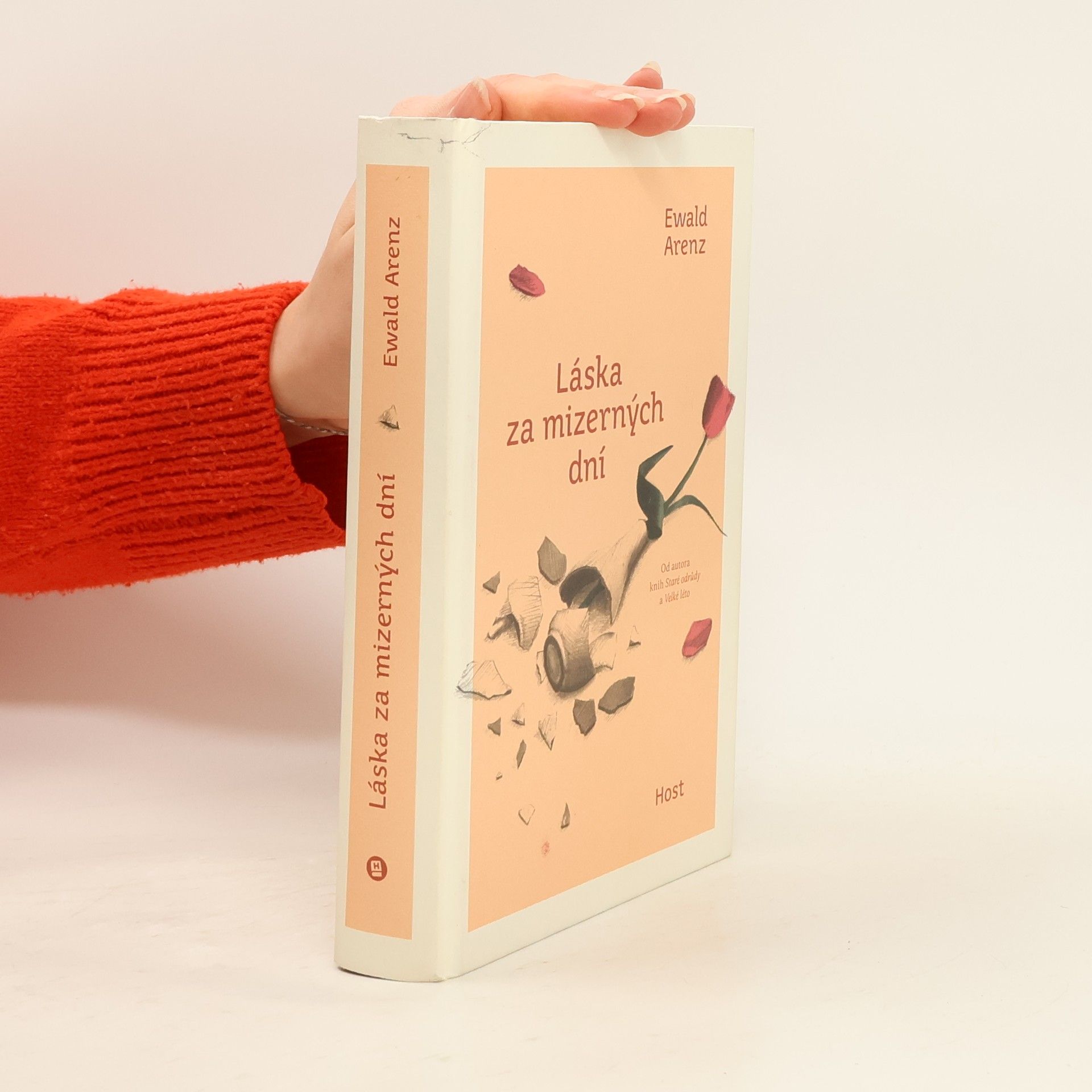 Ewald Arenz Láska za mizerných dní