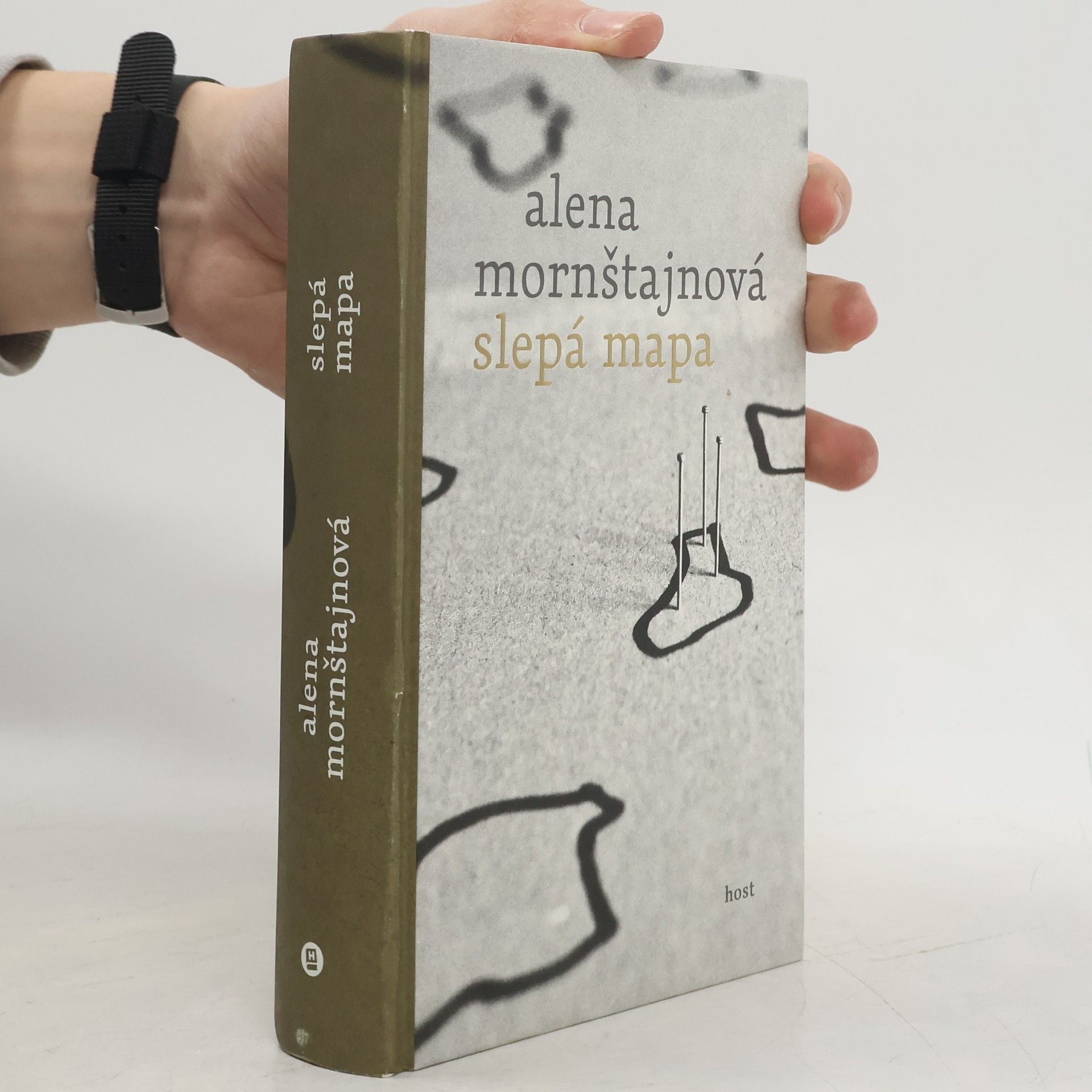 Alena Mornštajnová Slepá mapa