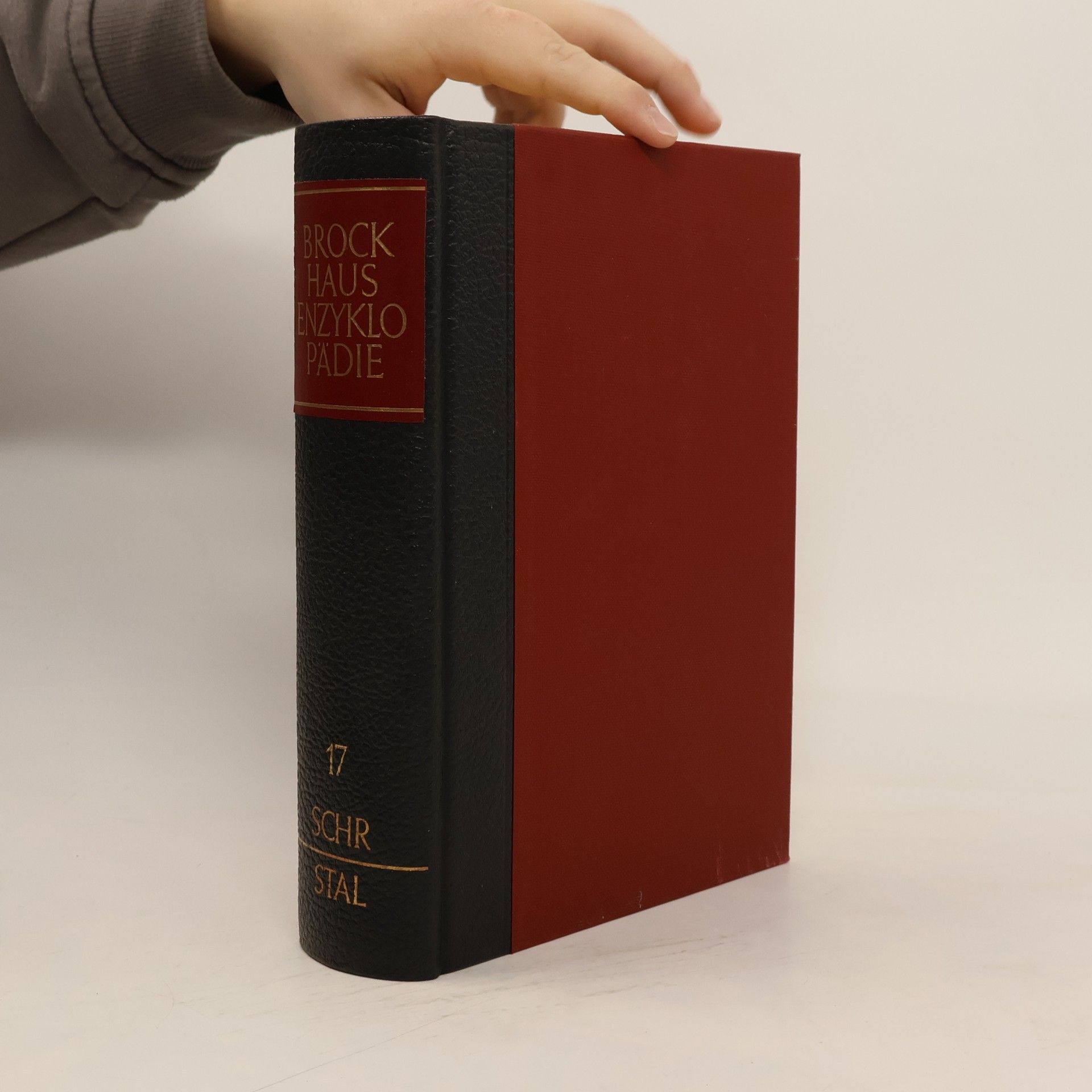 Kolektiv autorů Brockhaus Enzyklopädie 17. Schr-Stal
