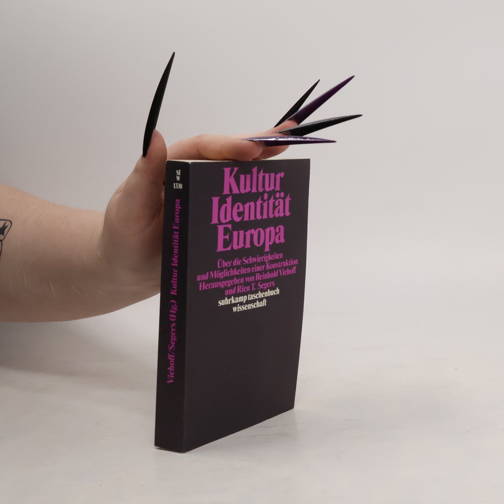 Reinhold Viehoff Suhrkamp Taschenbuch Wissenschaft - 1330: Kultur, Identität, Europa