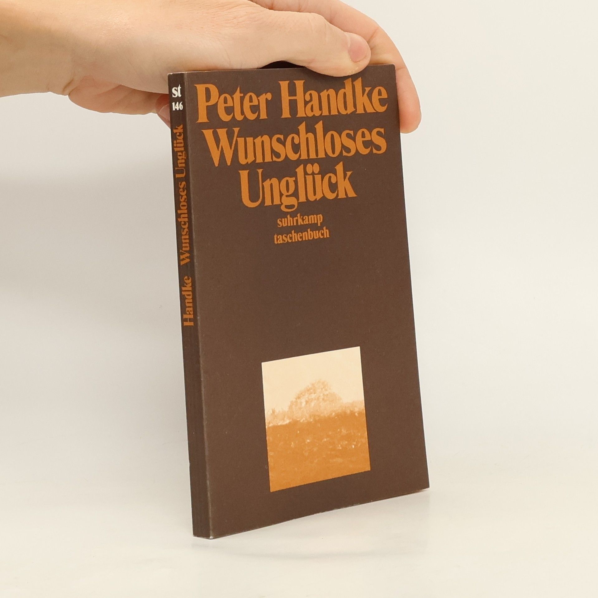 Peter Handke Wunschloses Unglück: Erzählung
