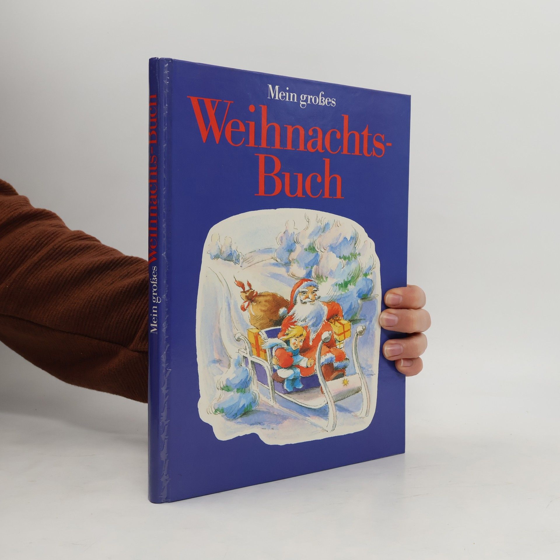 Mein grosses Weihnachts-Buch