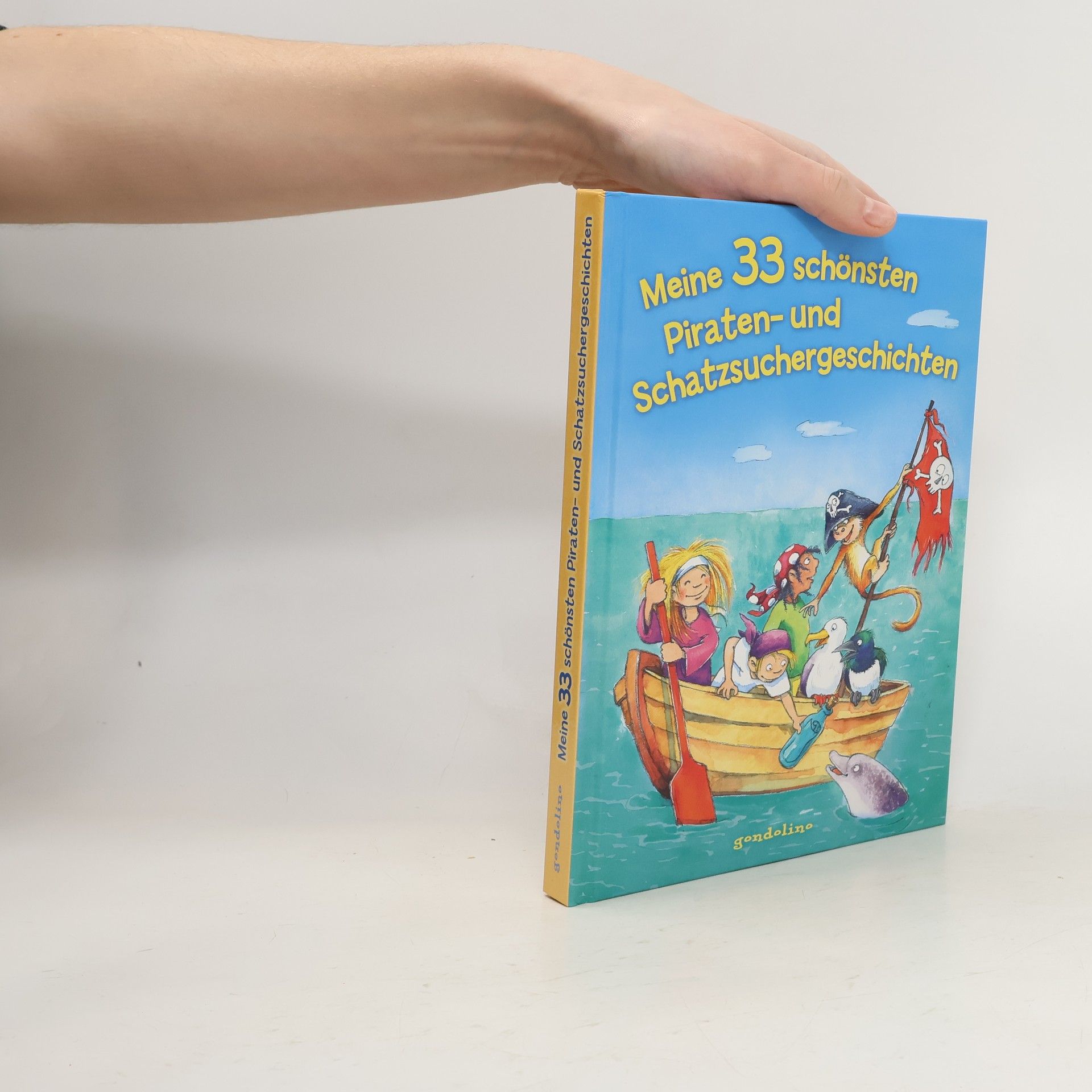 Kolektiv autorů Meine 33 schönsten Piraten- und Schatzsuchergeschichten