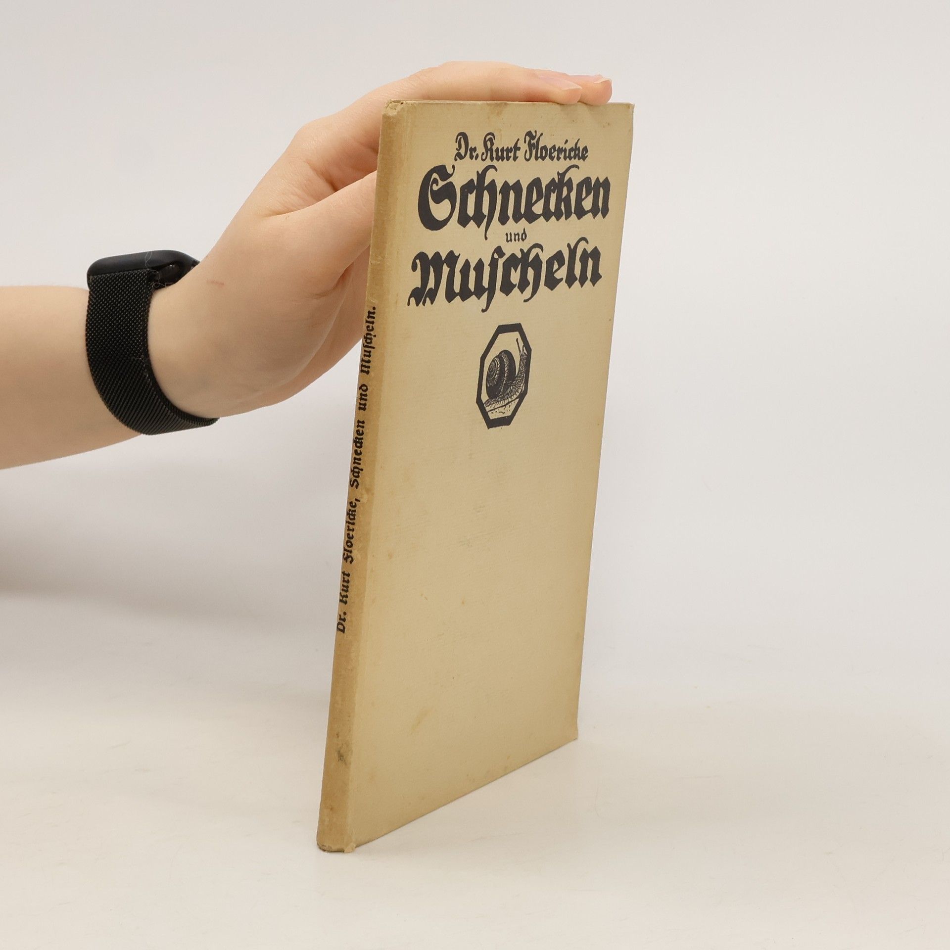 Schnecken und Muscheln