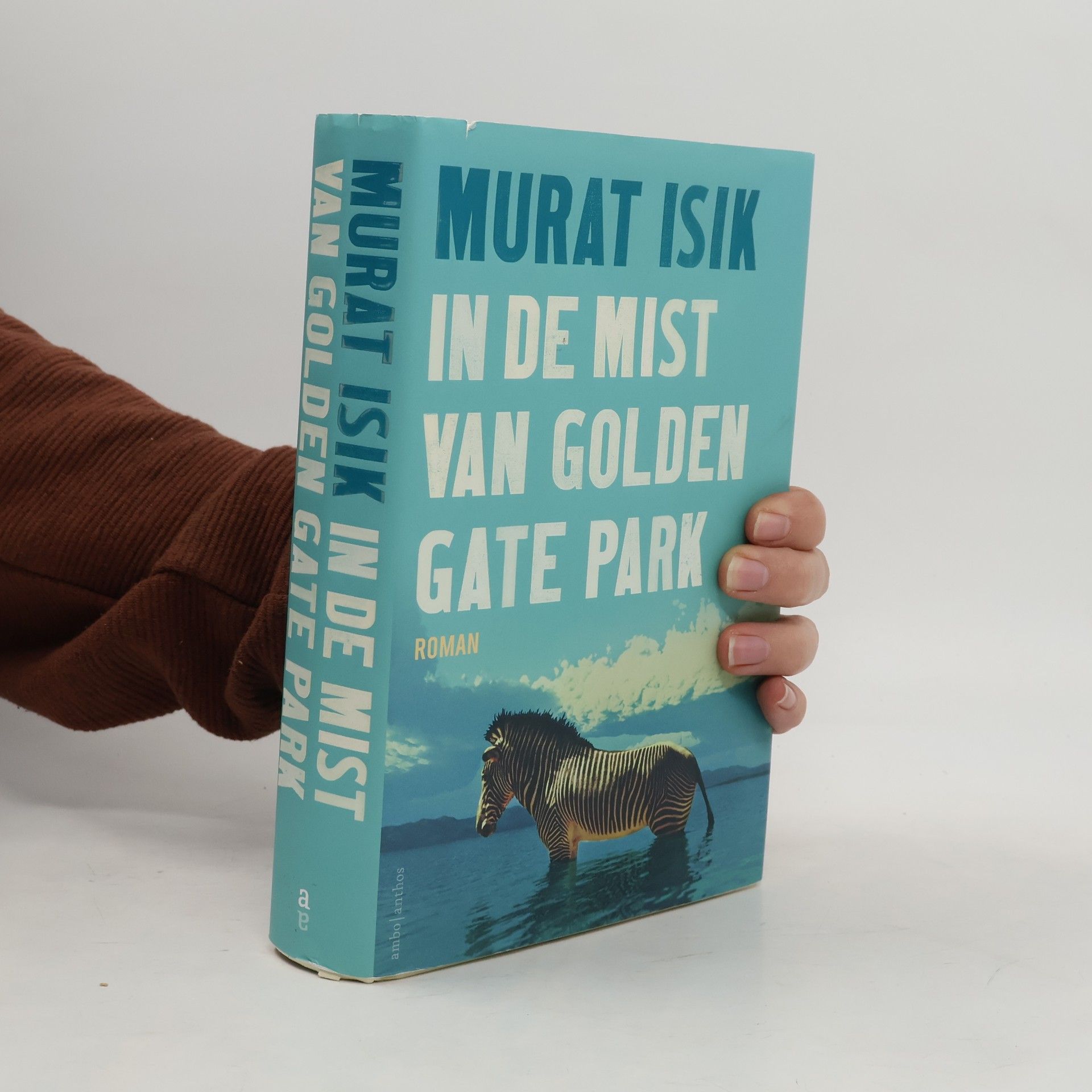 Murat Isik In de mist van Golden Gate Park