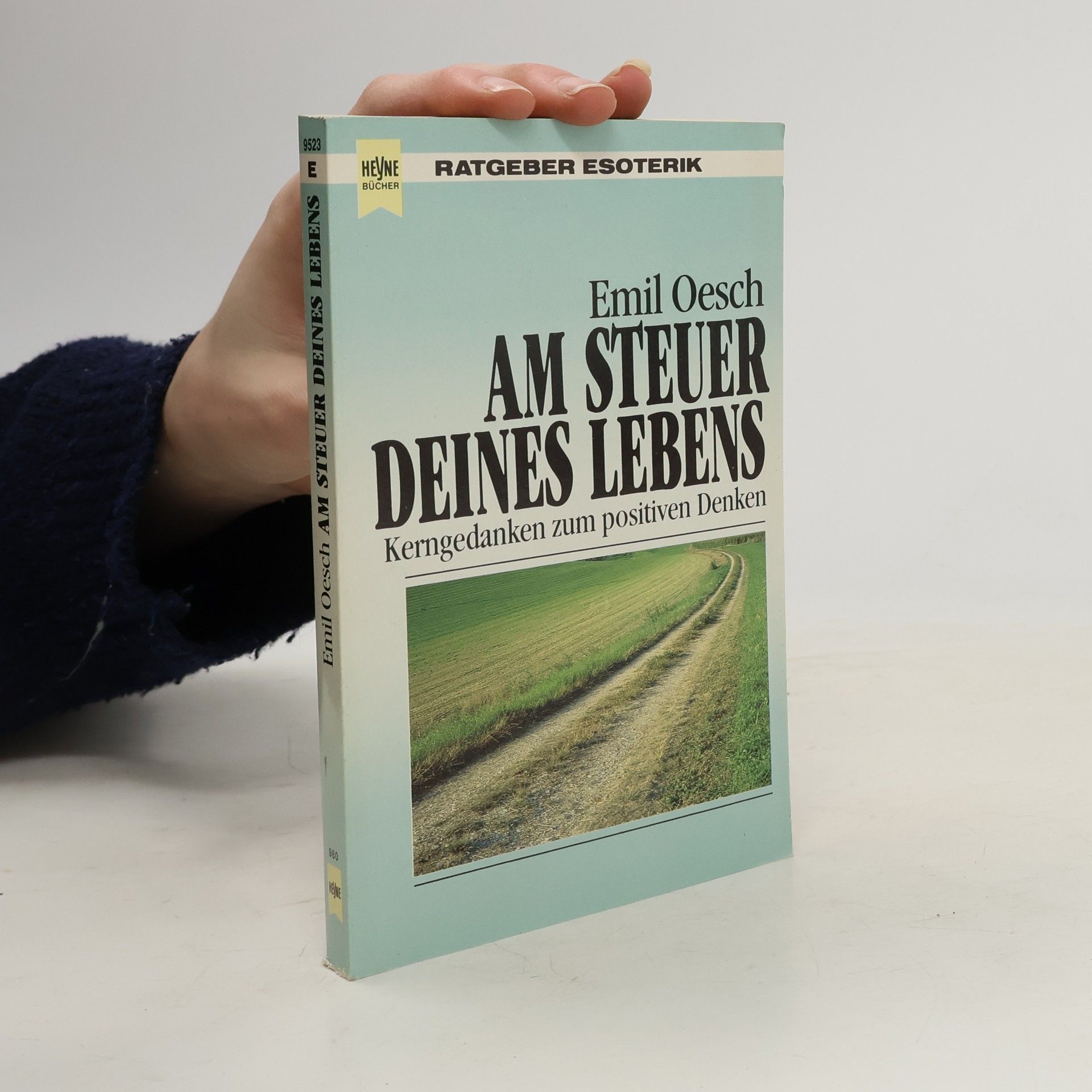 Emil Oesch Am steuer deines lebens