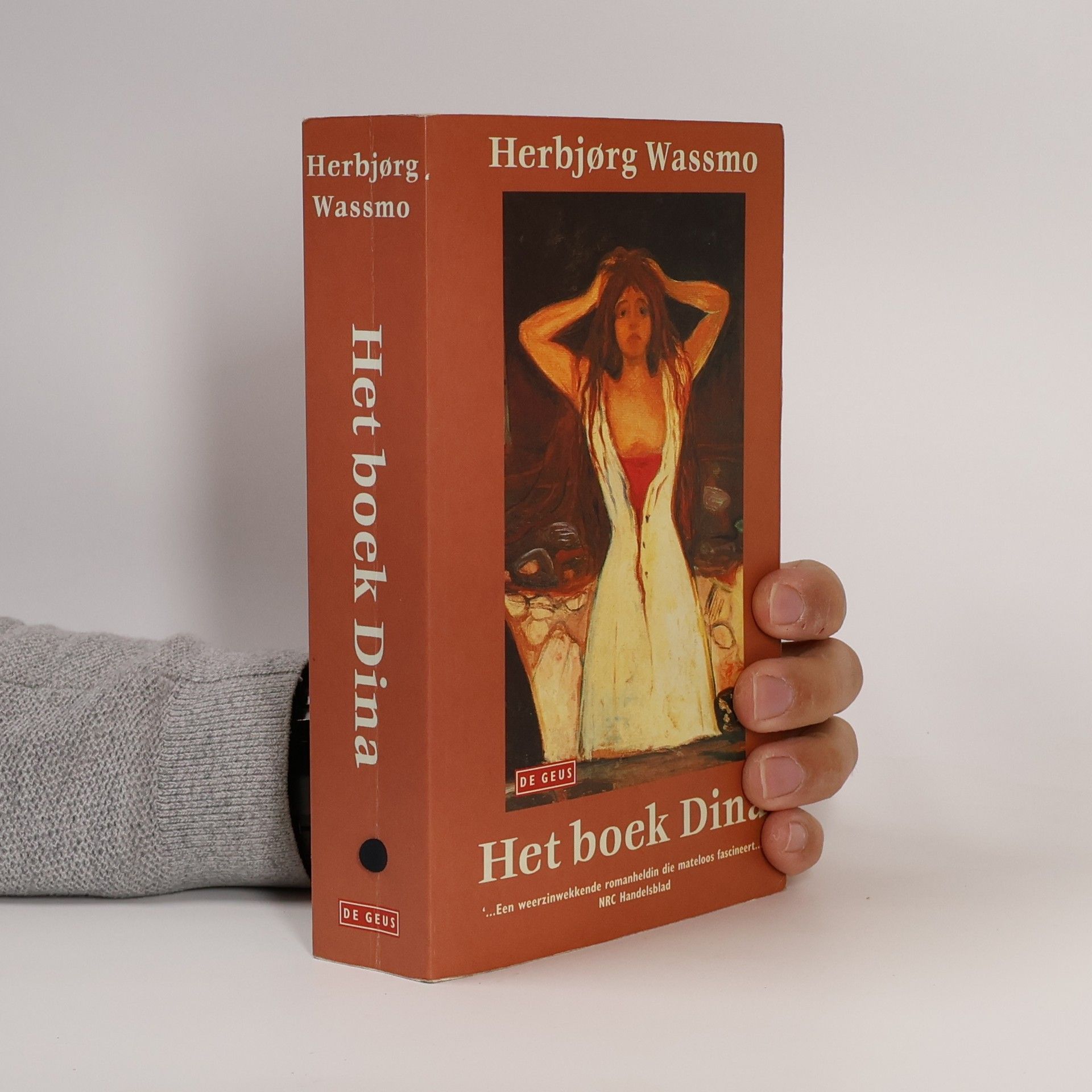 Herbjorg Wassmo Het boek Dina - Het goedkope pb uitgave