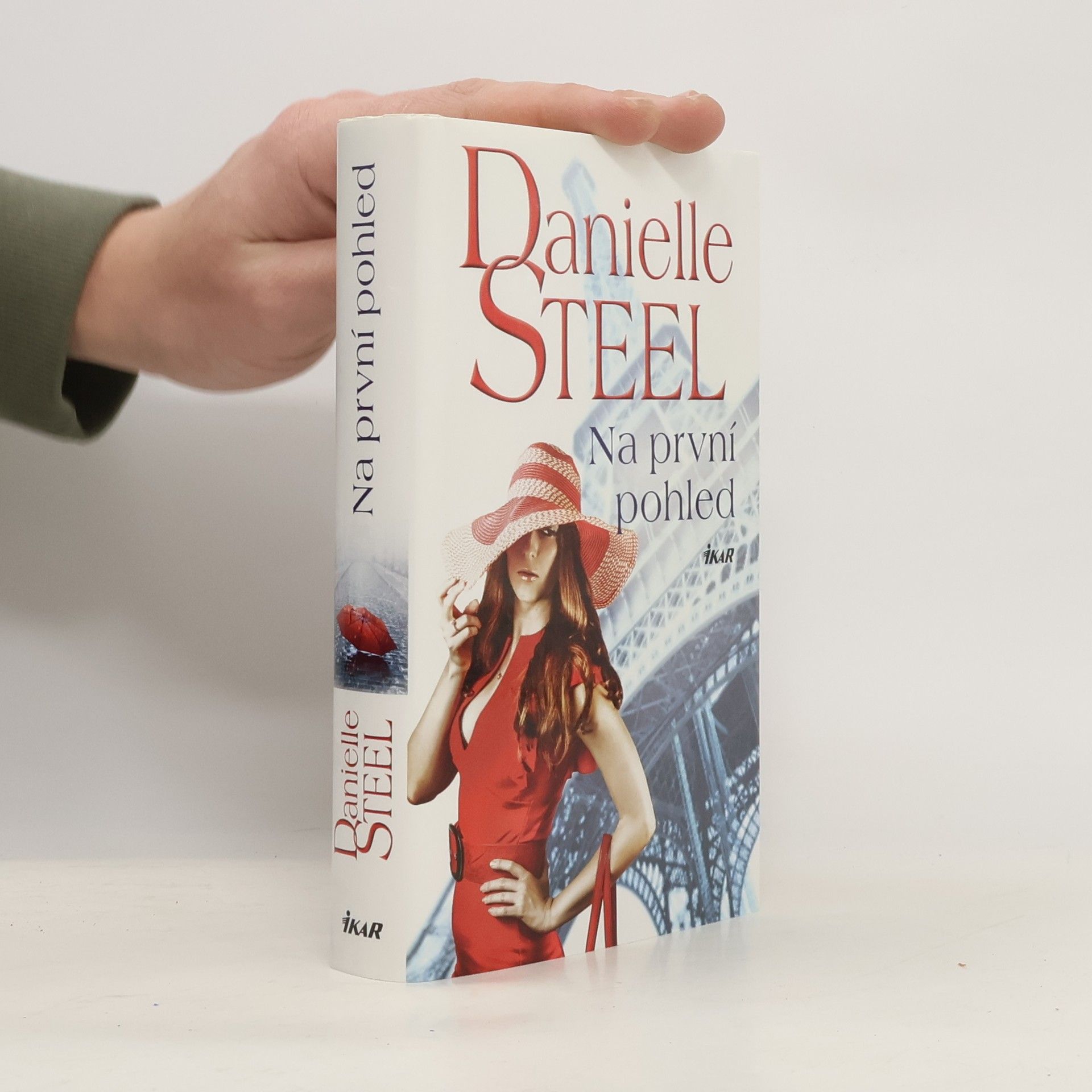 Danielle Steel Na první pohled