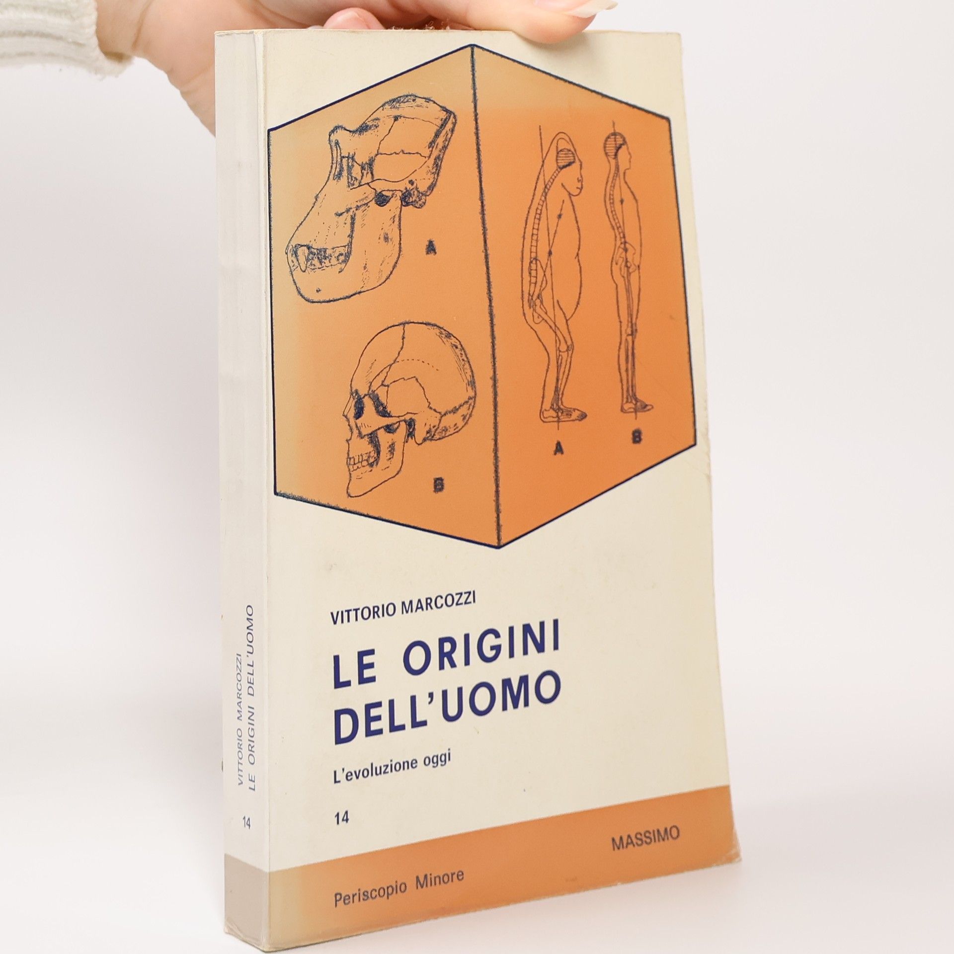Vittorio Marcozzi Le origini dell'uomo. L'evoluzione oggi