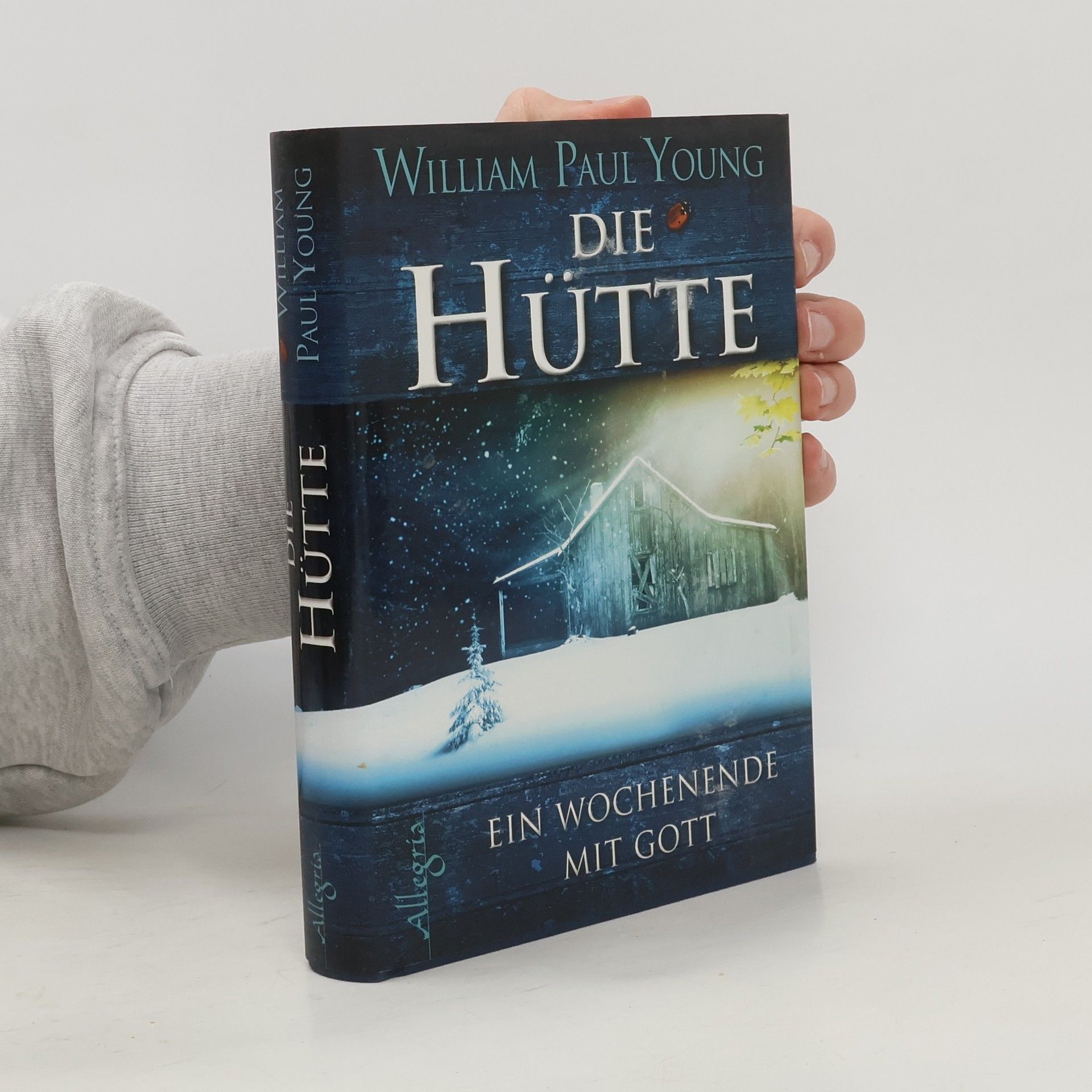 William P. Young Die Hütte